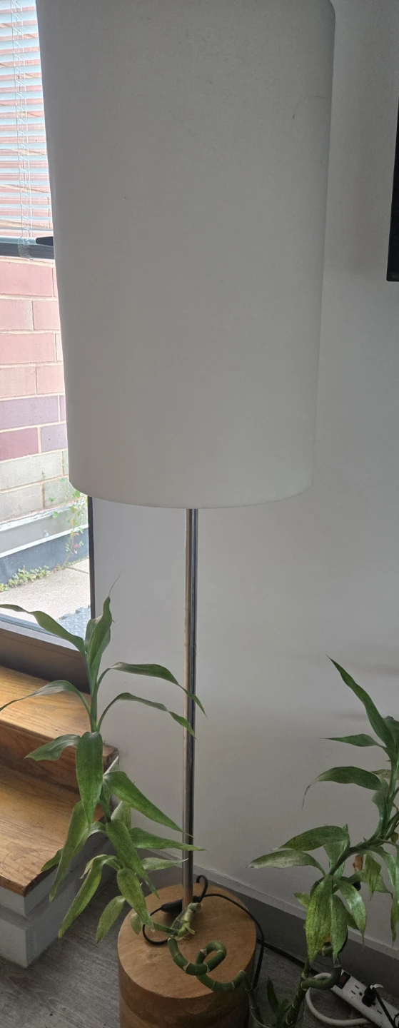 Moving sale in RI - photo 2