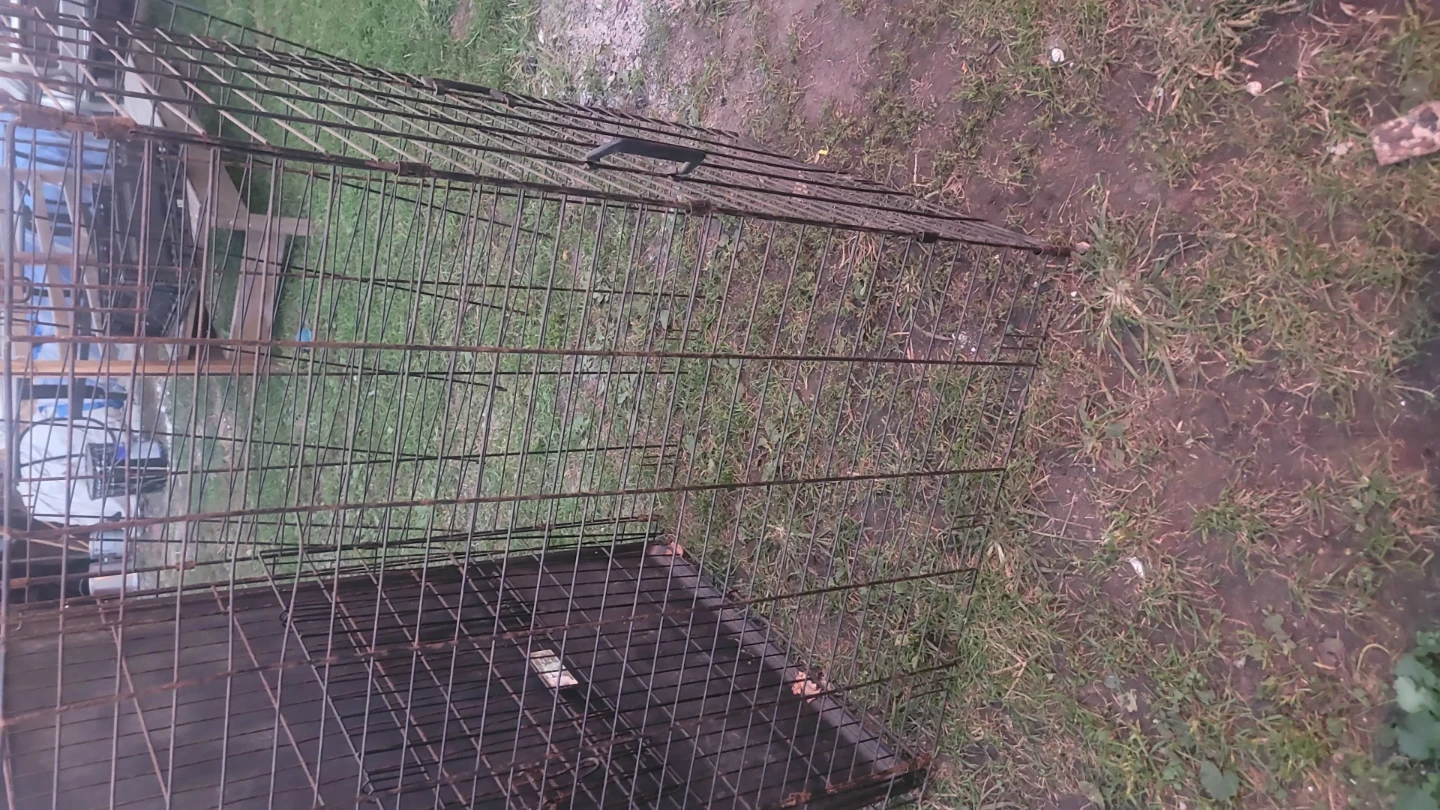 Large Collapsible Metal Dog Crate