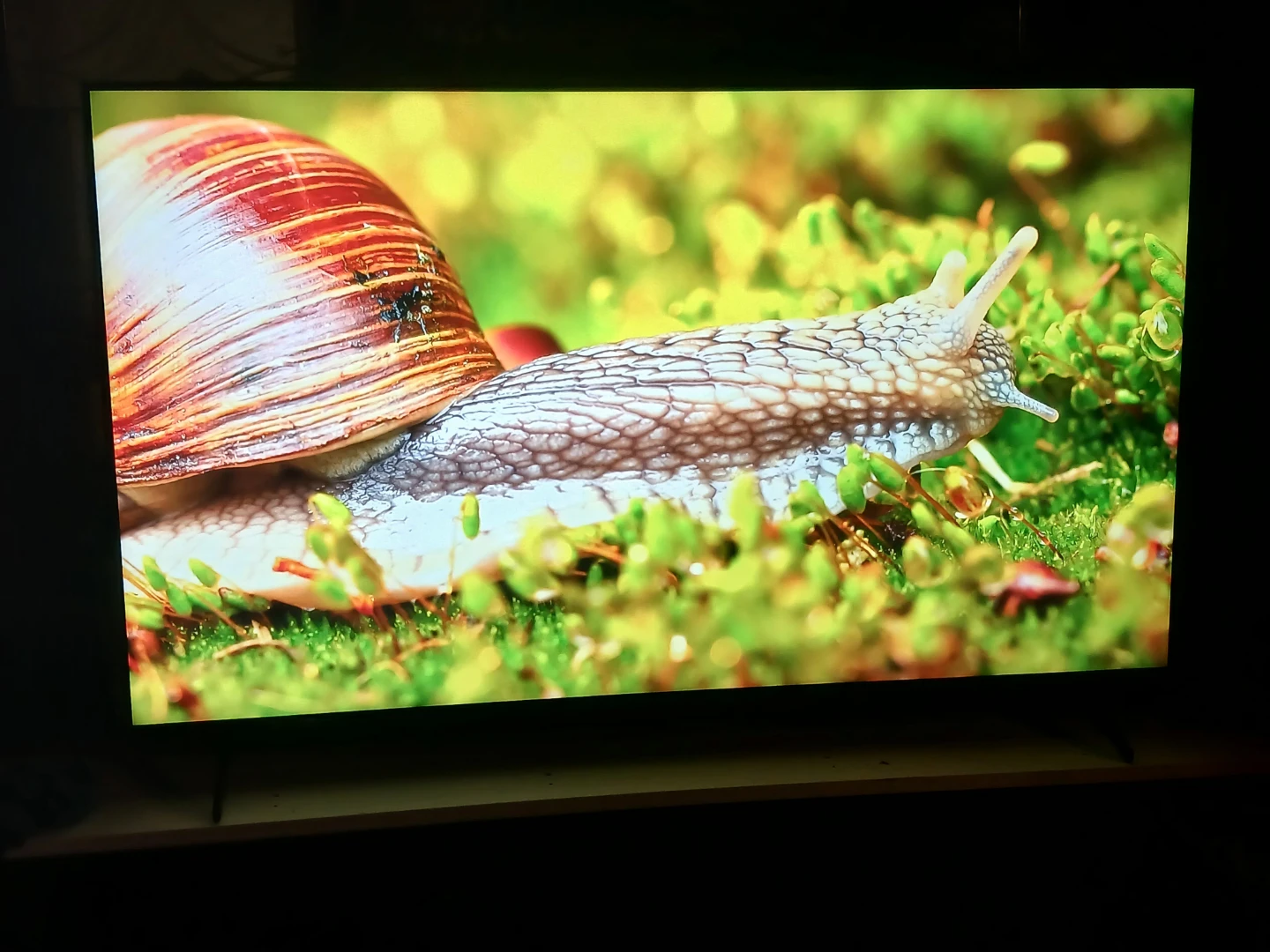 Sony 65" X85K 4K 120Hz Smart Google TV + Box + Remote - photo 3