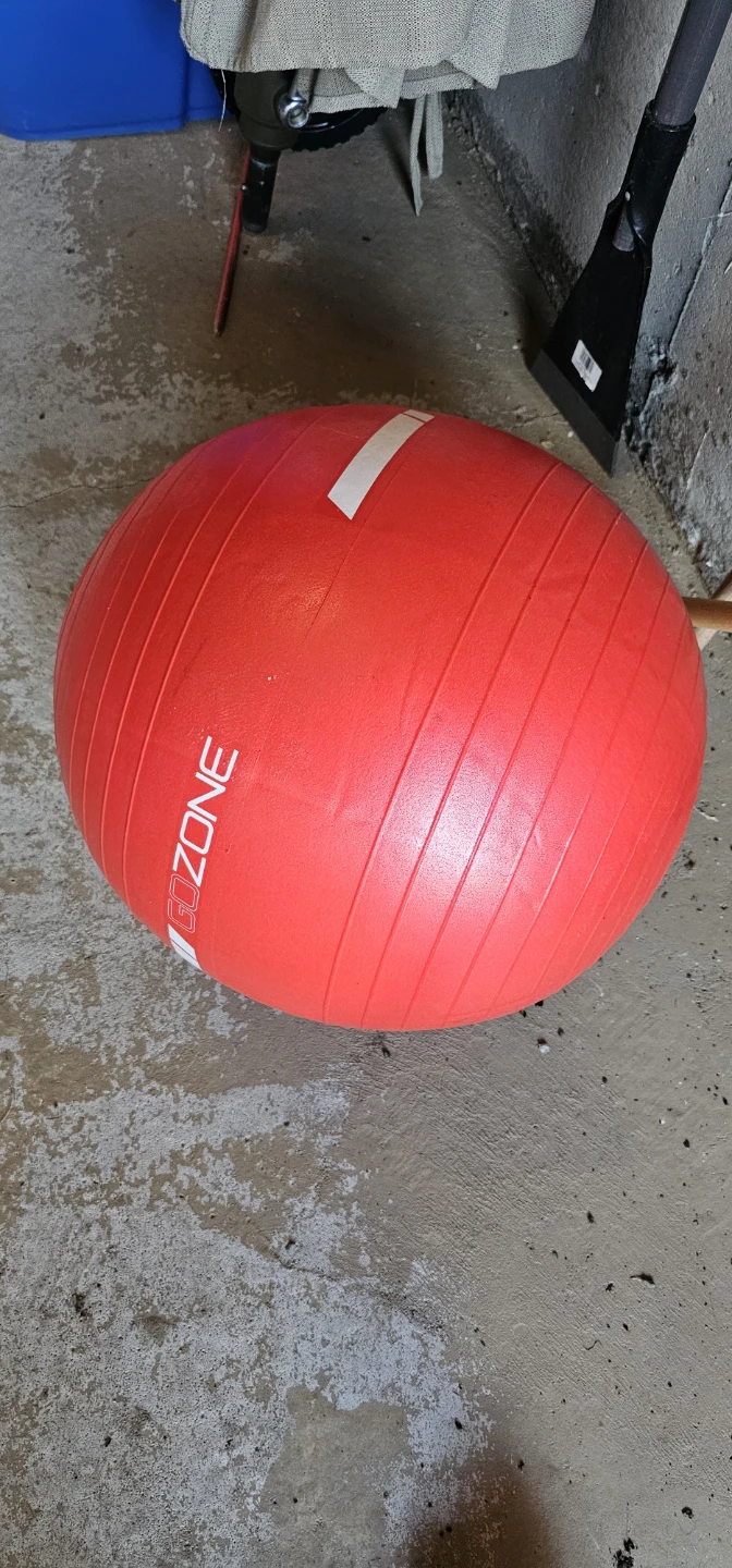 GoZone Exercise Ball