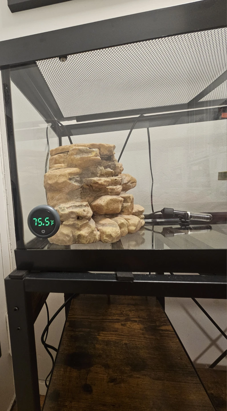 Reptile Tank with Metal Stand - photo 5