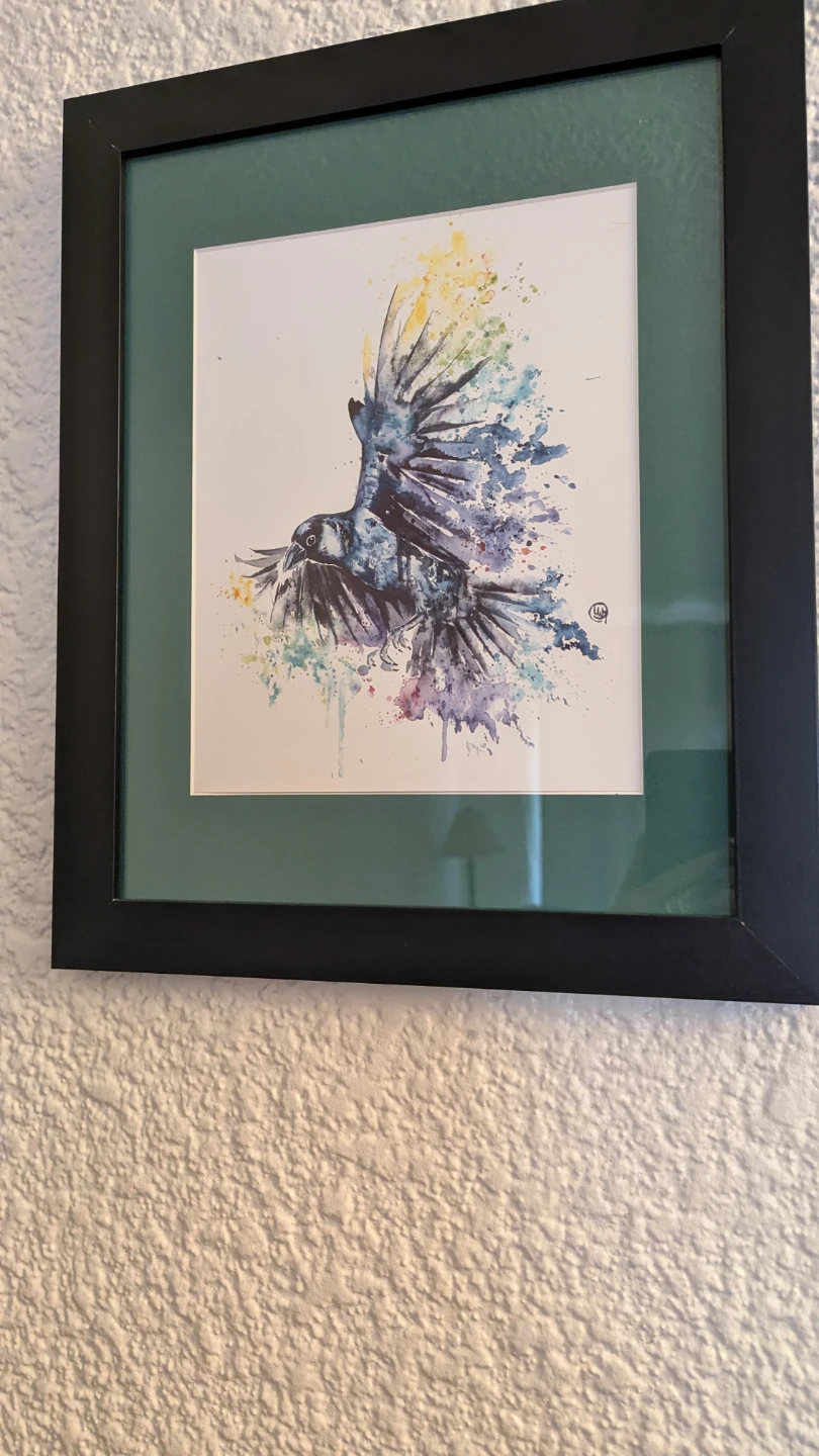 Set of 3 Framed Bird Watercolour Prints