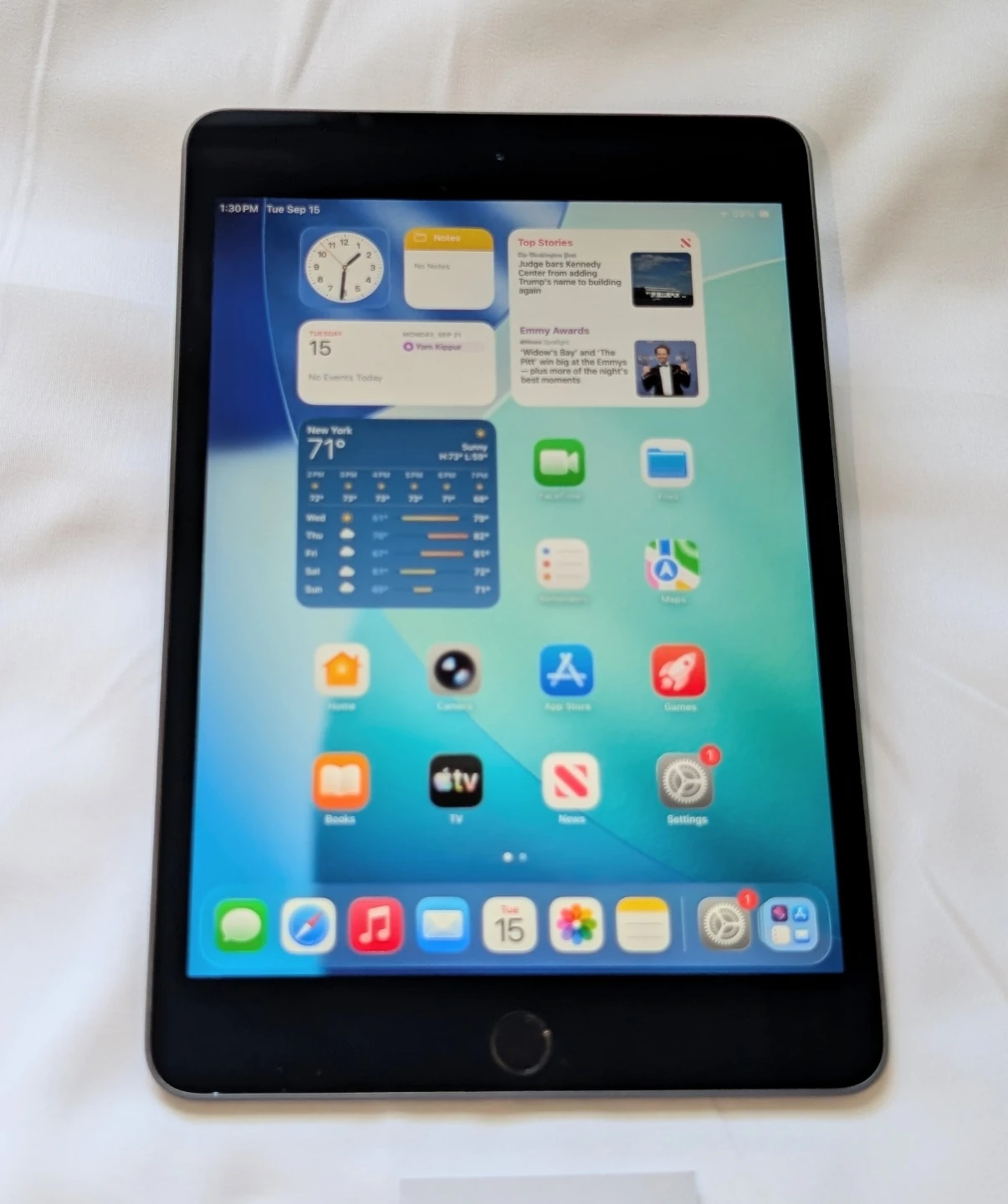 VERY NICE APPLE iPad MINI 5 64GB  LOW PRICE iOS26