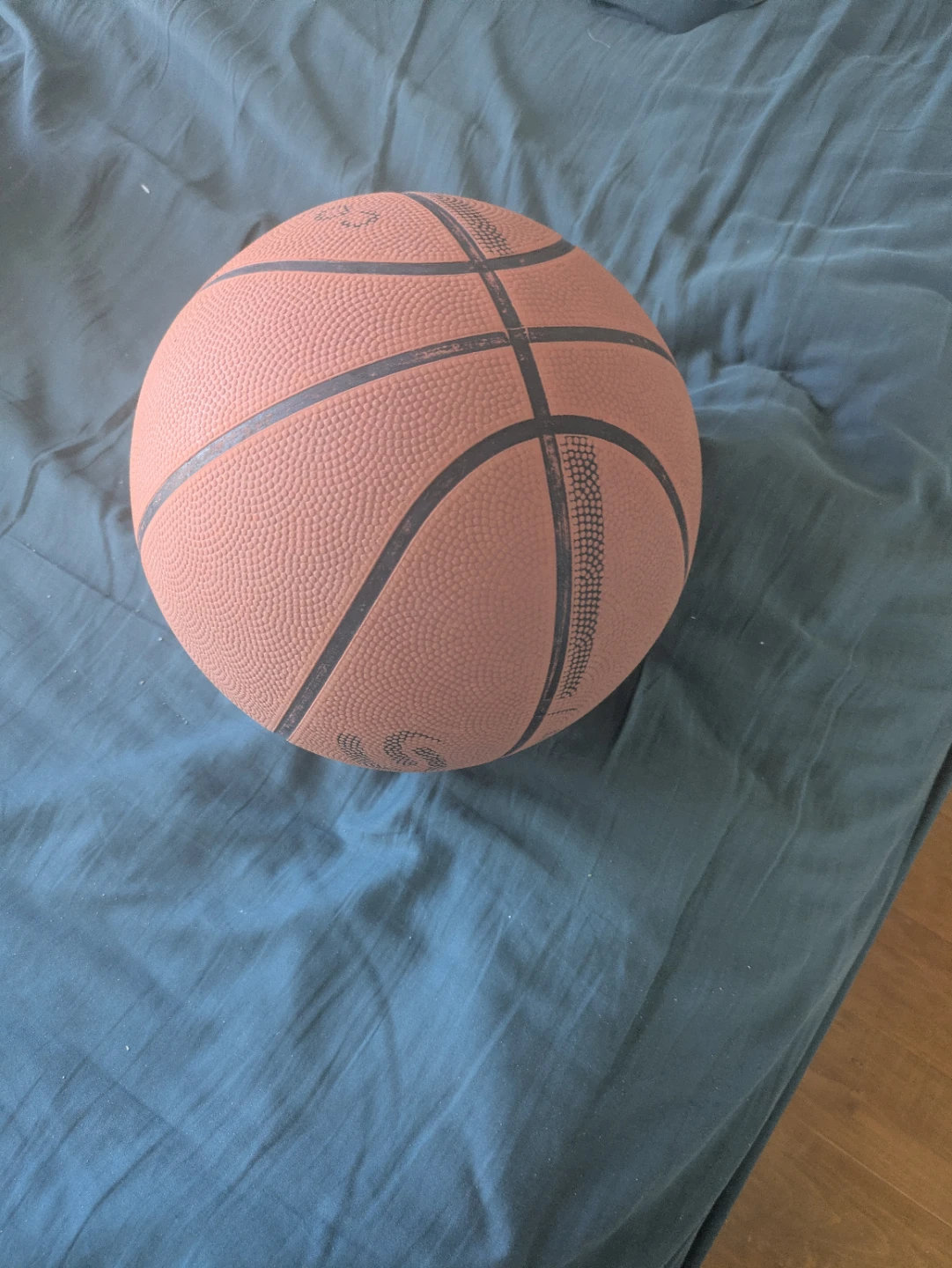 Basketball Size 7