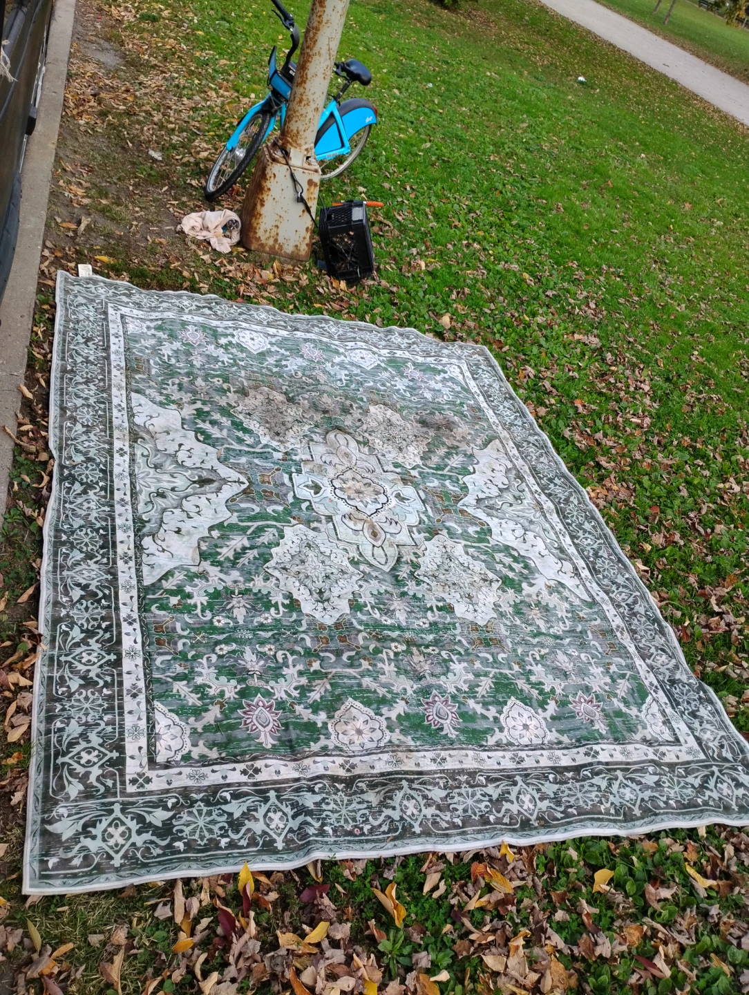 Green and white ornate area rug - photo 3