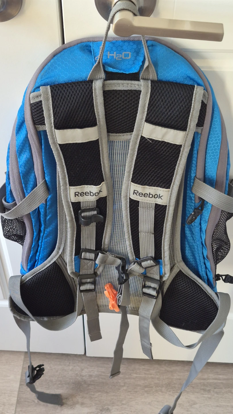 Reebok blue hiking backpack - photo 2