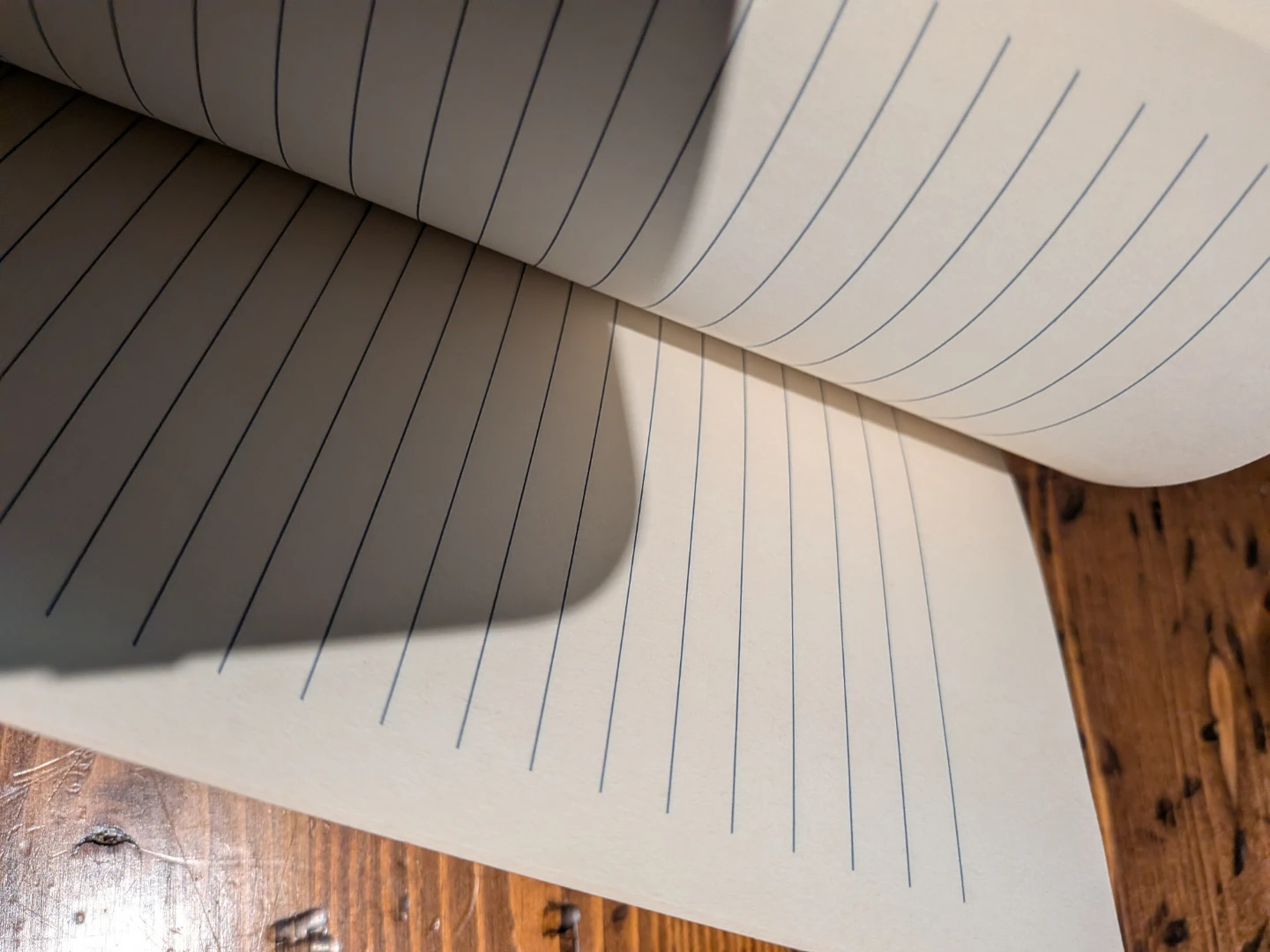 Alternative Facts Notebook - photo 4