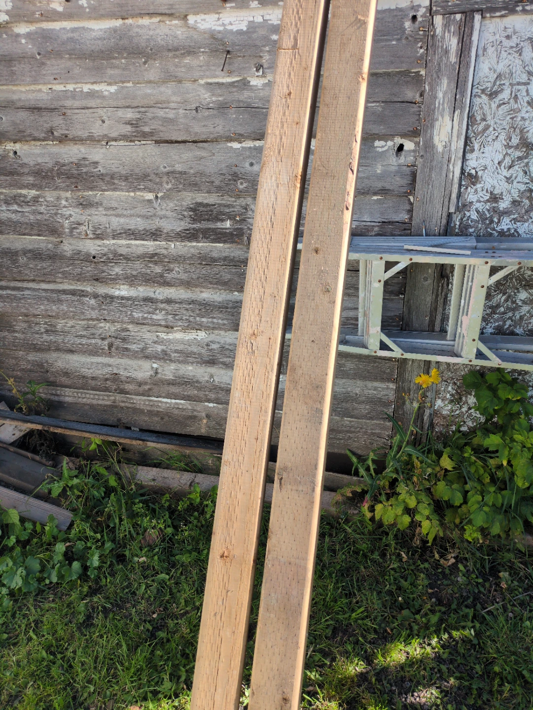 Two Treated Lumber Planks - photo 2