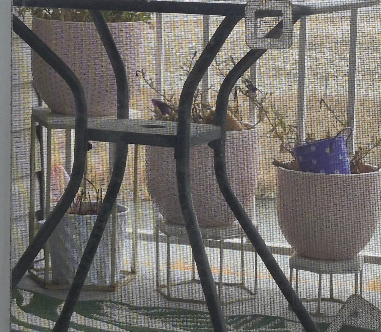 Set of 3 Modern Plant Stands n pots