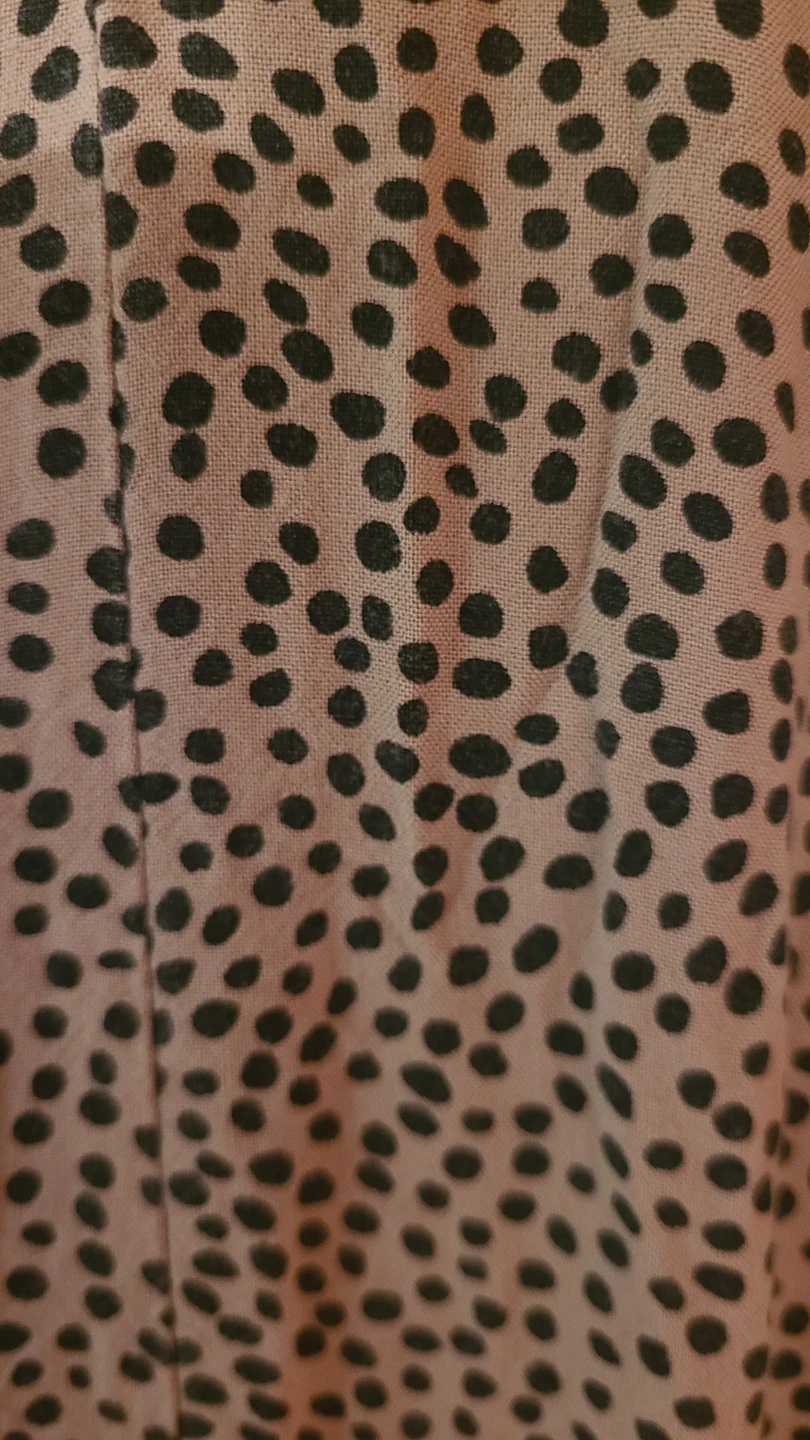 Jaynee Polka Dot Button-Down Dress - photo 2