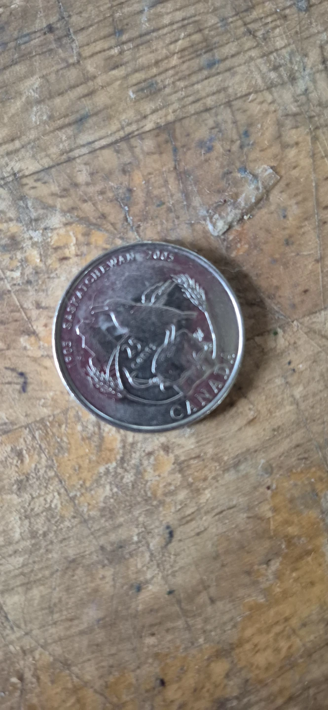 2005 Saskatchewan 25 Cent Coin - photo 2