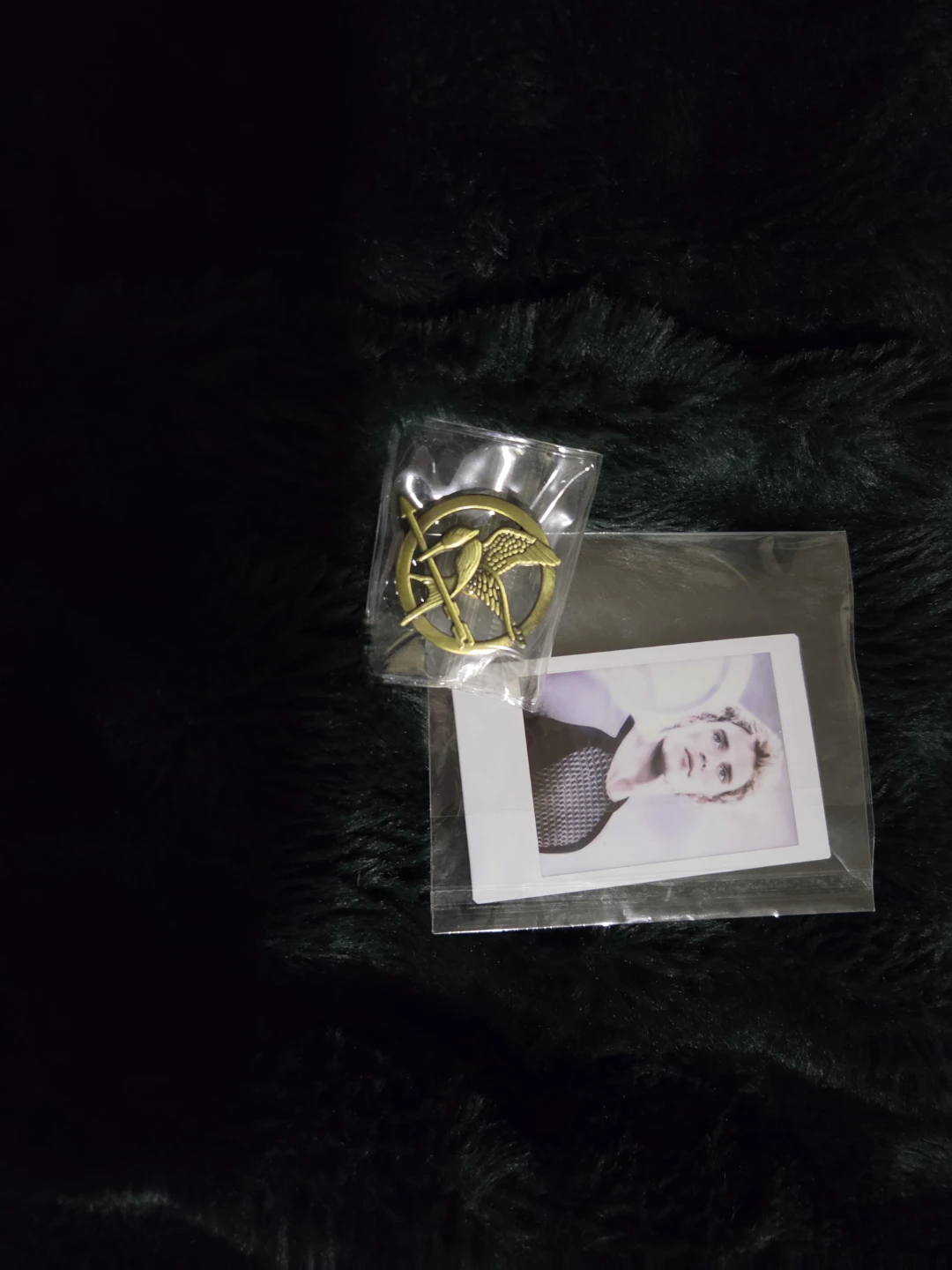 Hunger Games Mockingjay Pin and Photo Card