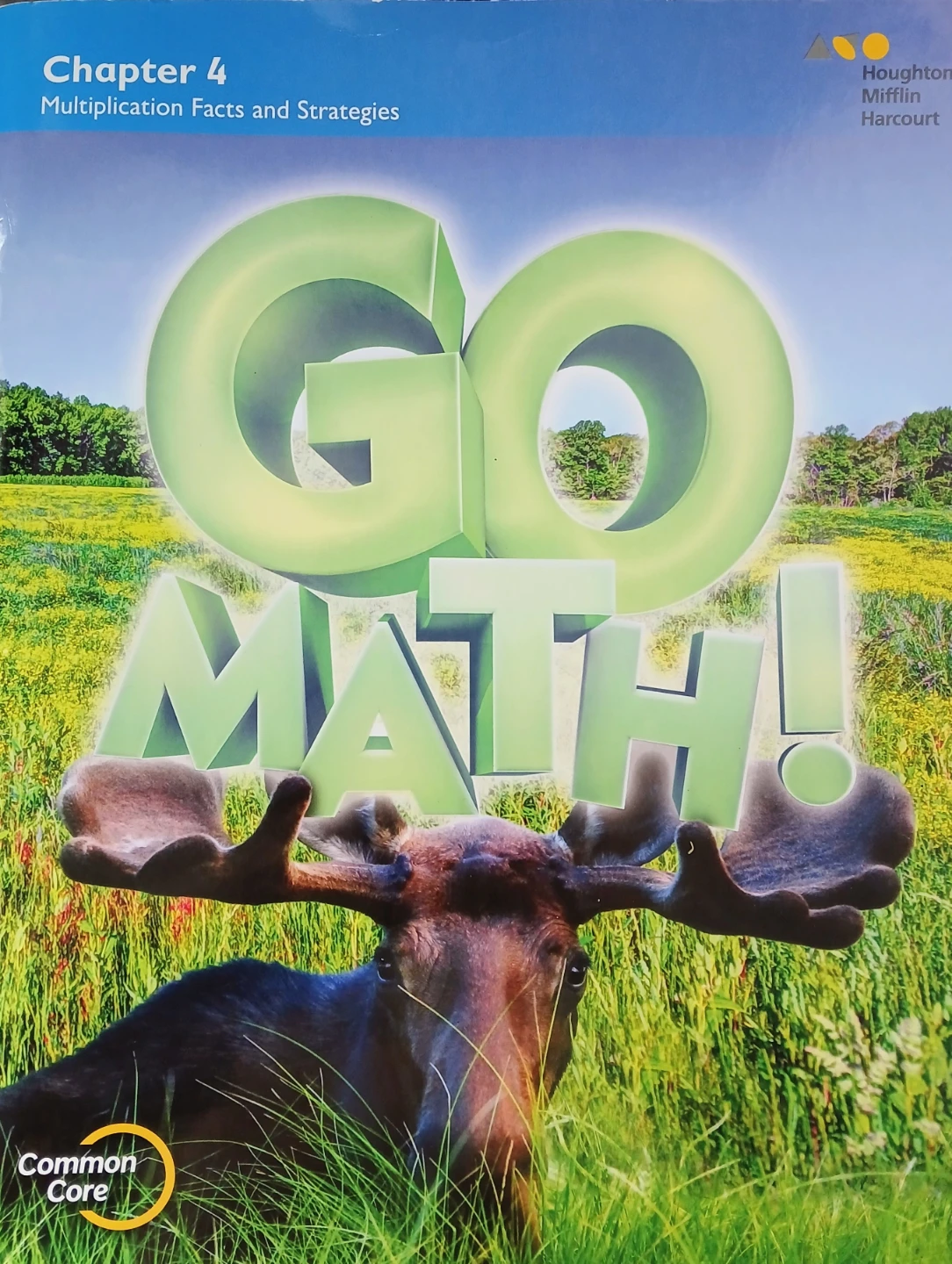 Go Math! Chapter 4 Textbook