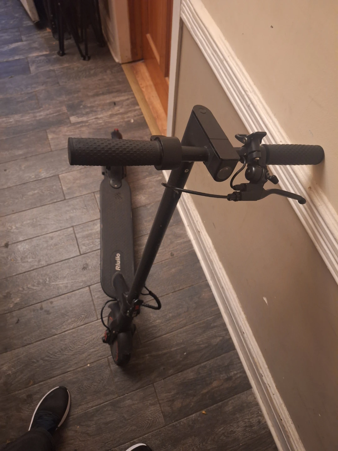 Riulio Electric Scooter - photo 2
