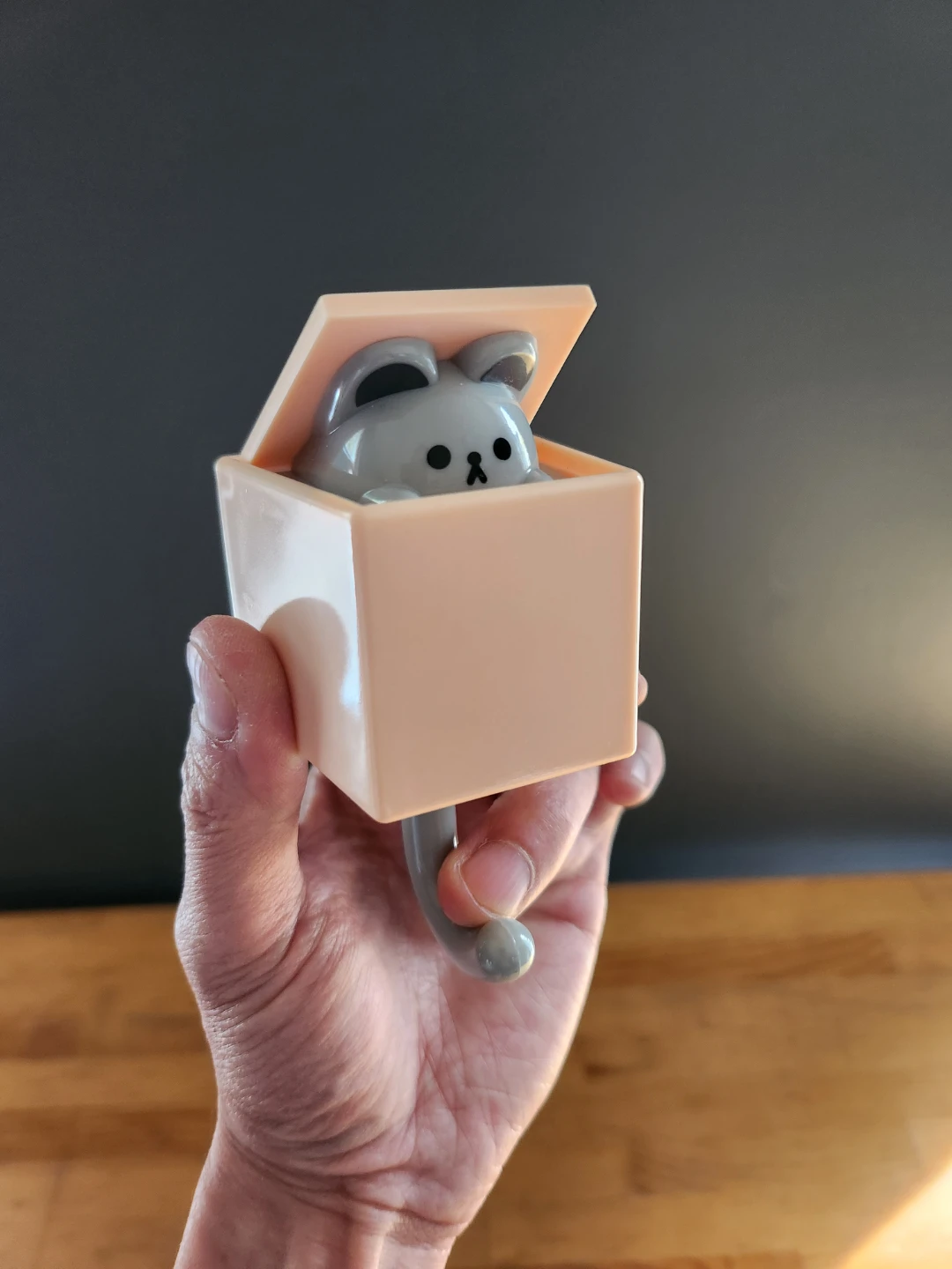 Pop-Up Cat Wall Hook