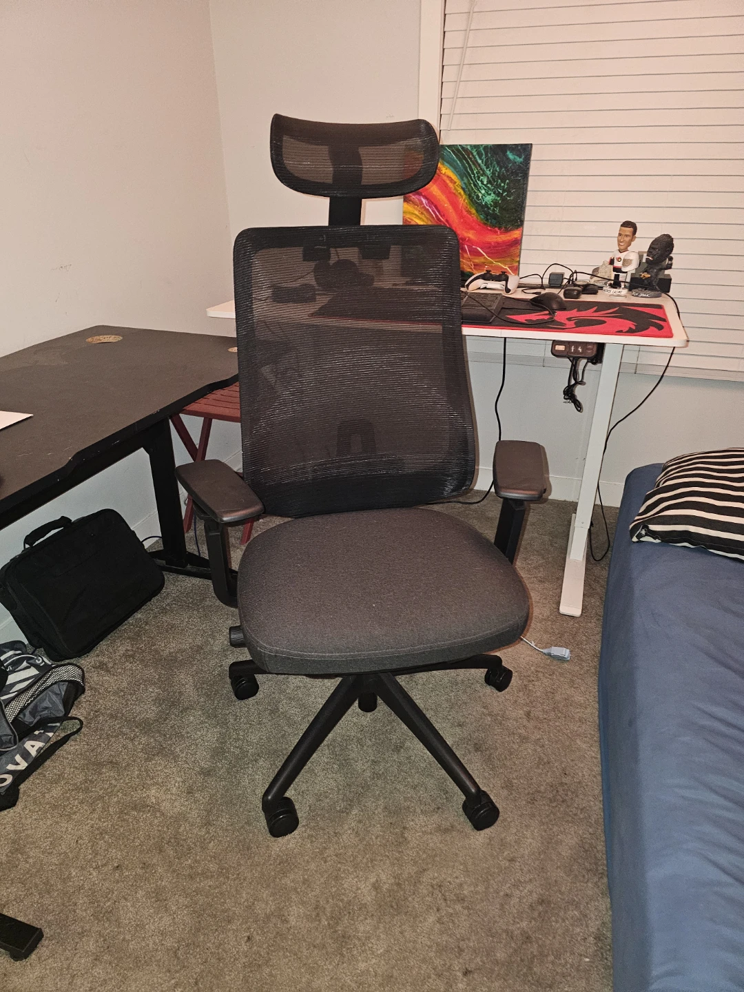 COLAMY ATLAS-01 Executive Ergonomic Office Chair