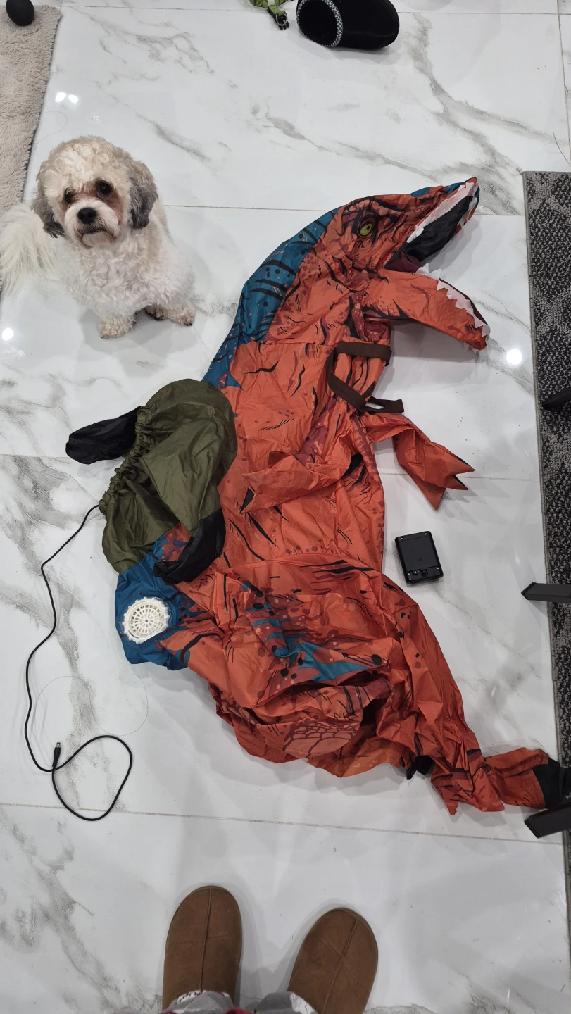 Inflatable Dinosaur Costume