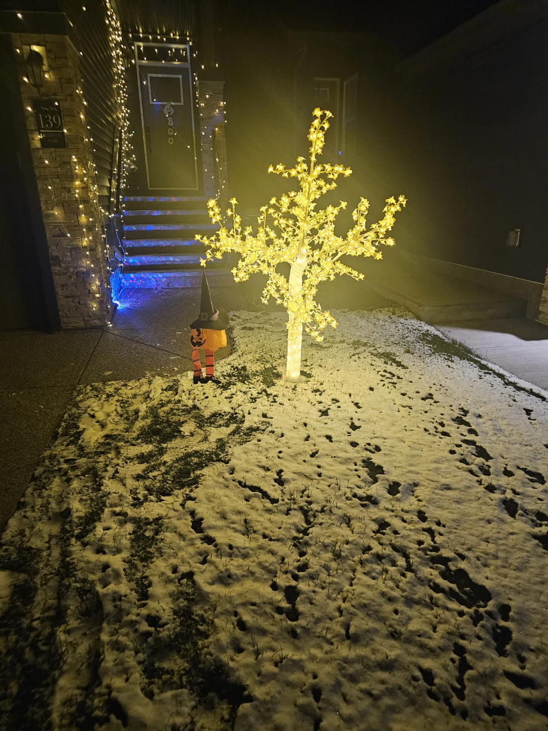 LED Blossom Tree Light - photo 2