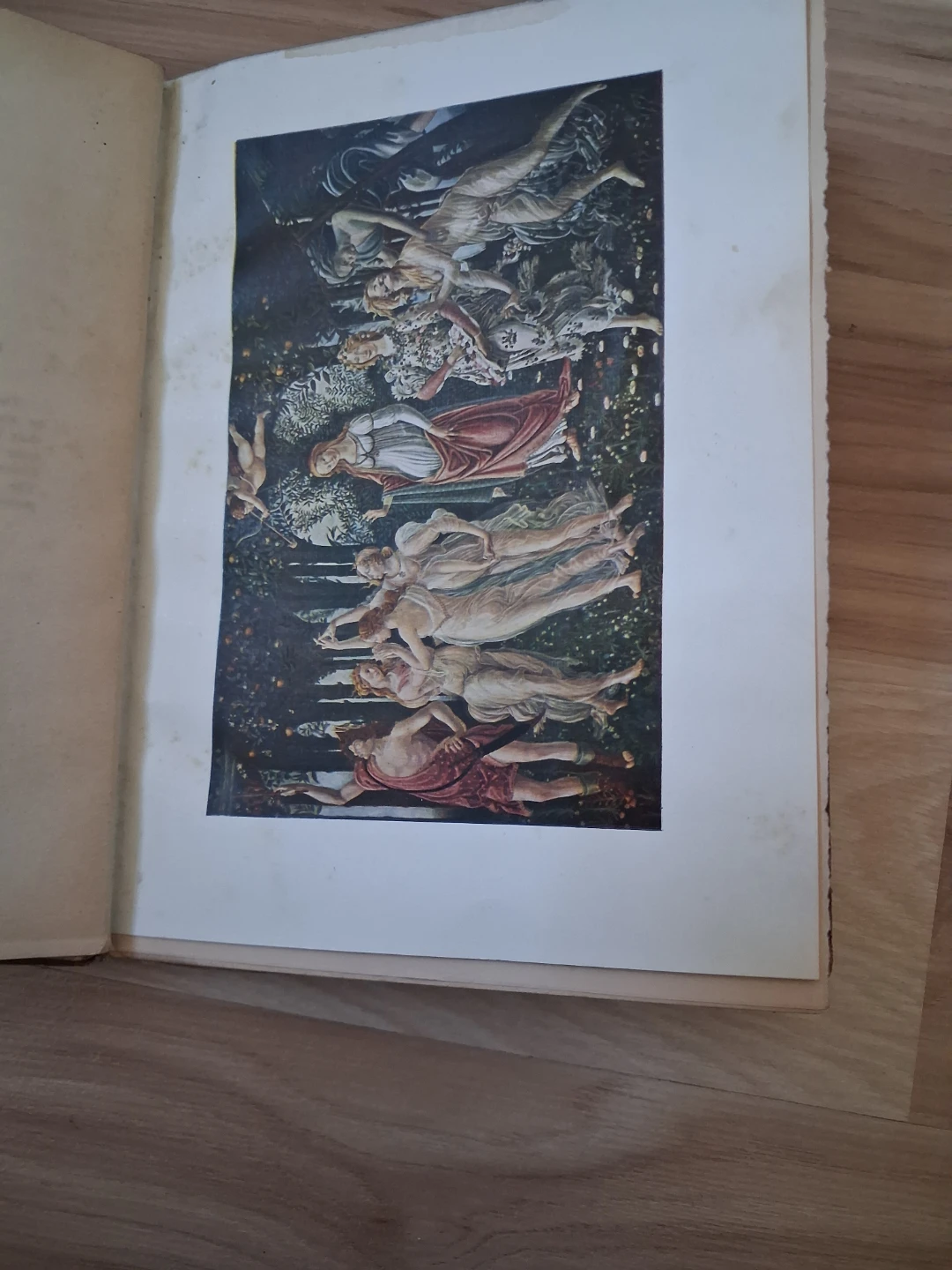Masterpieces in Colour: Botticelli - photo 4