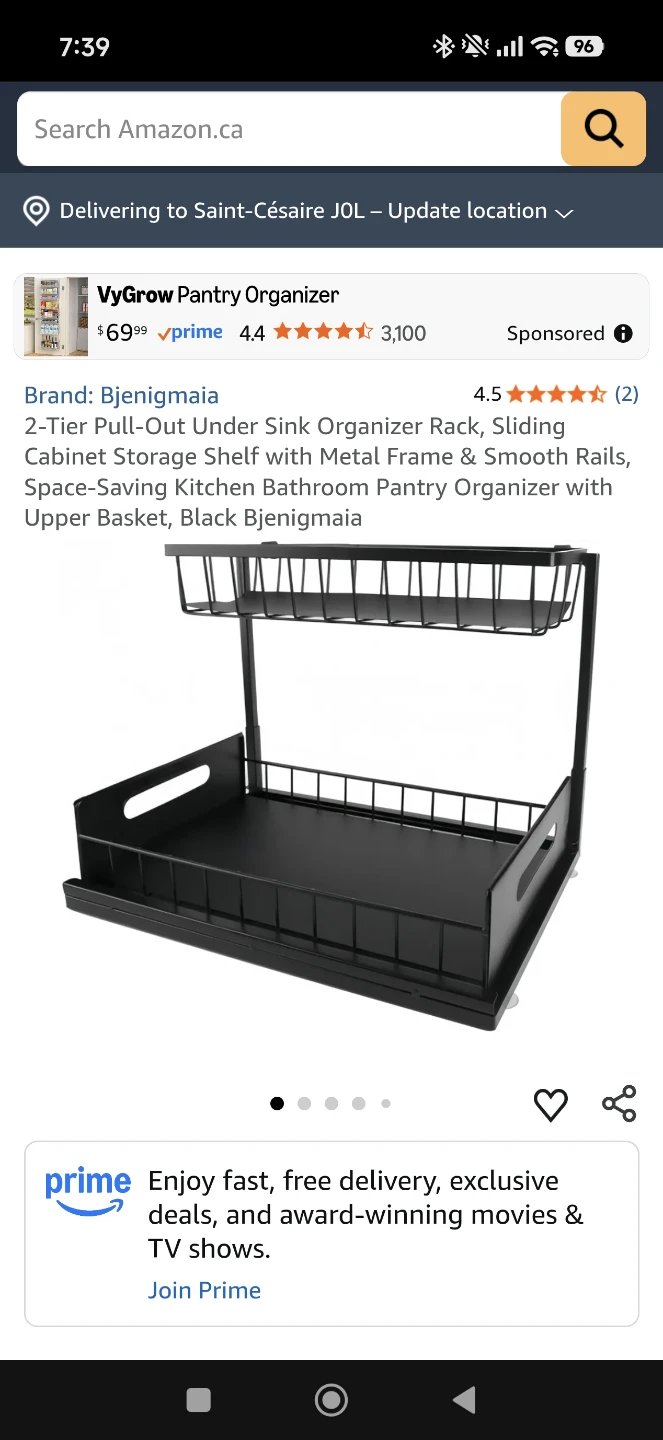Bjenigmaia 2-Tier Pull-Out Cabinet Organizer - photo 5