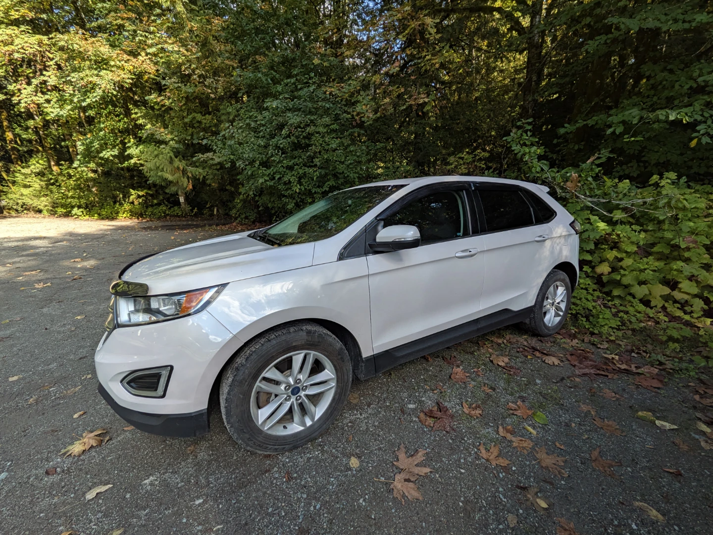Ford Edge - photo 3