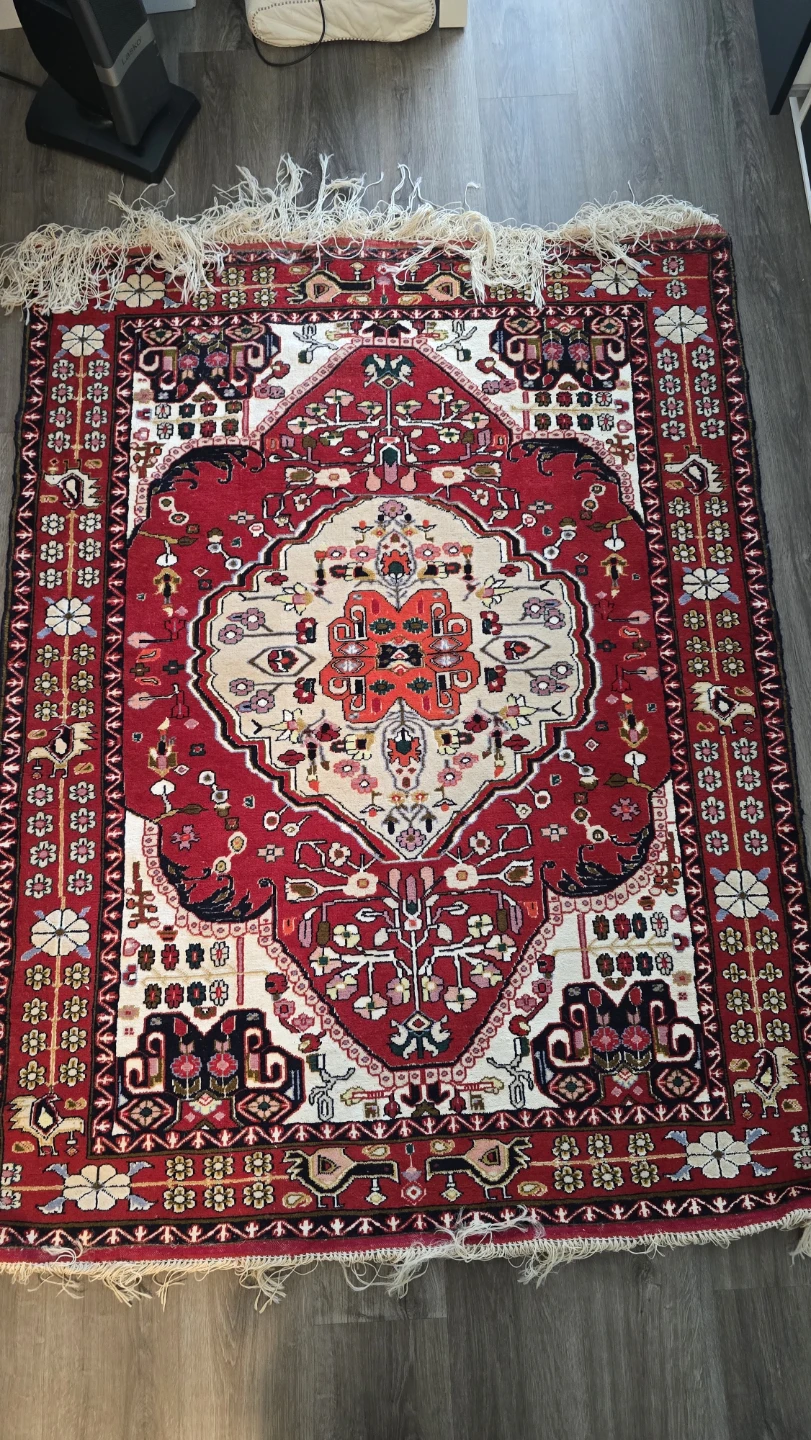 Traditional Persian-style Area Rug