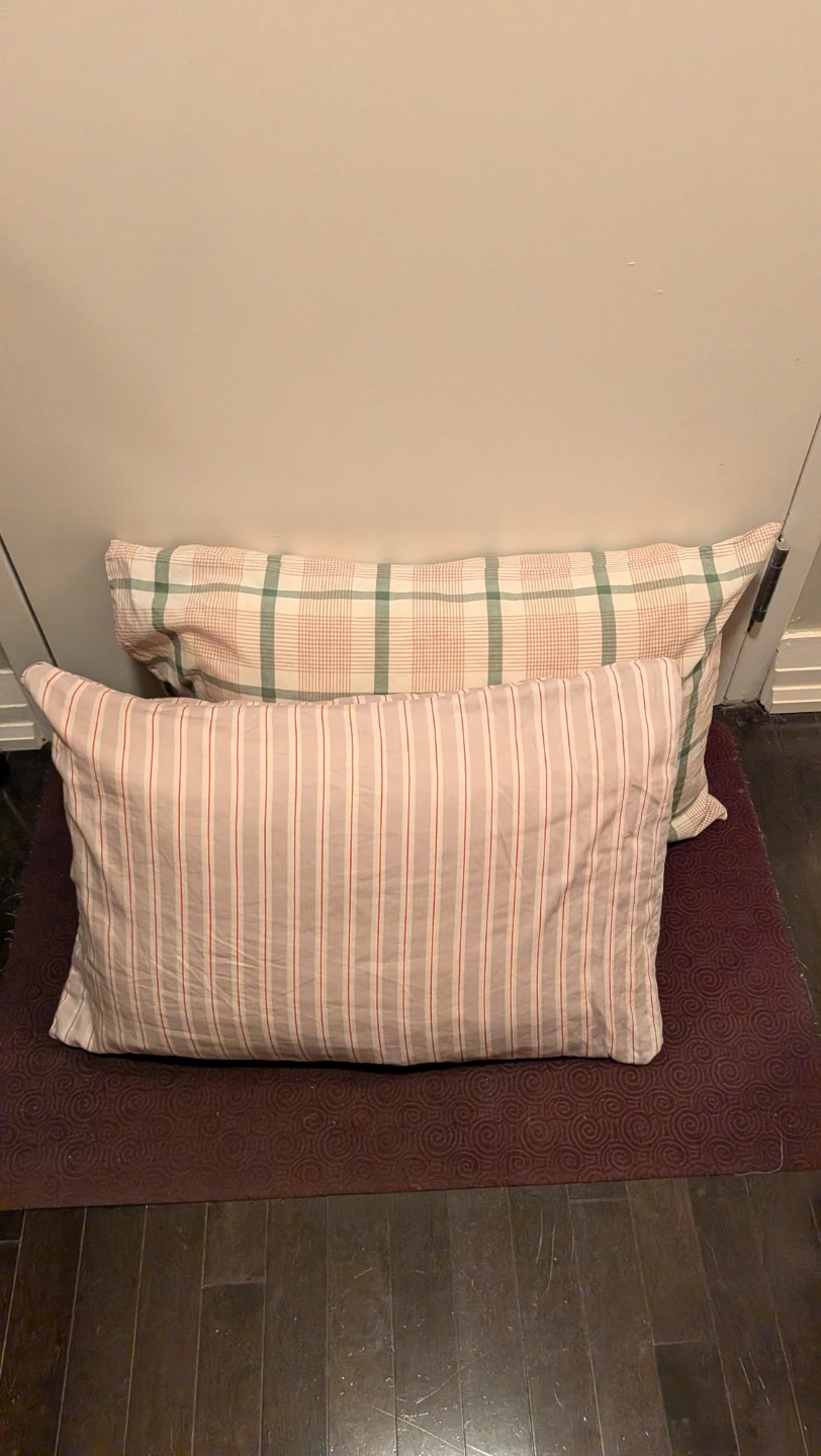 Two Sealy Posturepedic Pillows w/ Cases - photo 5