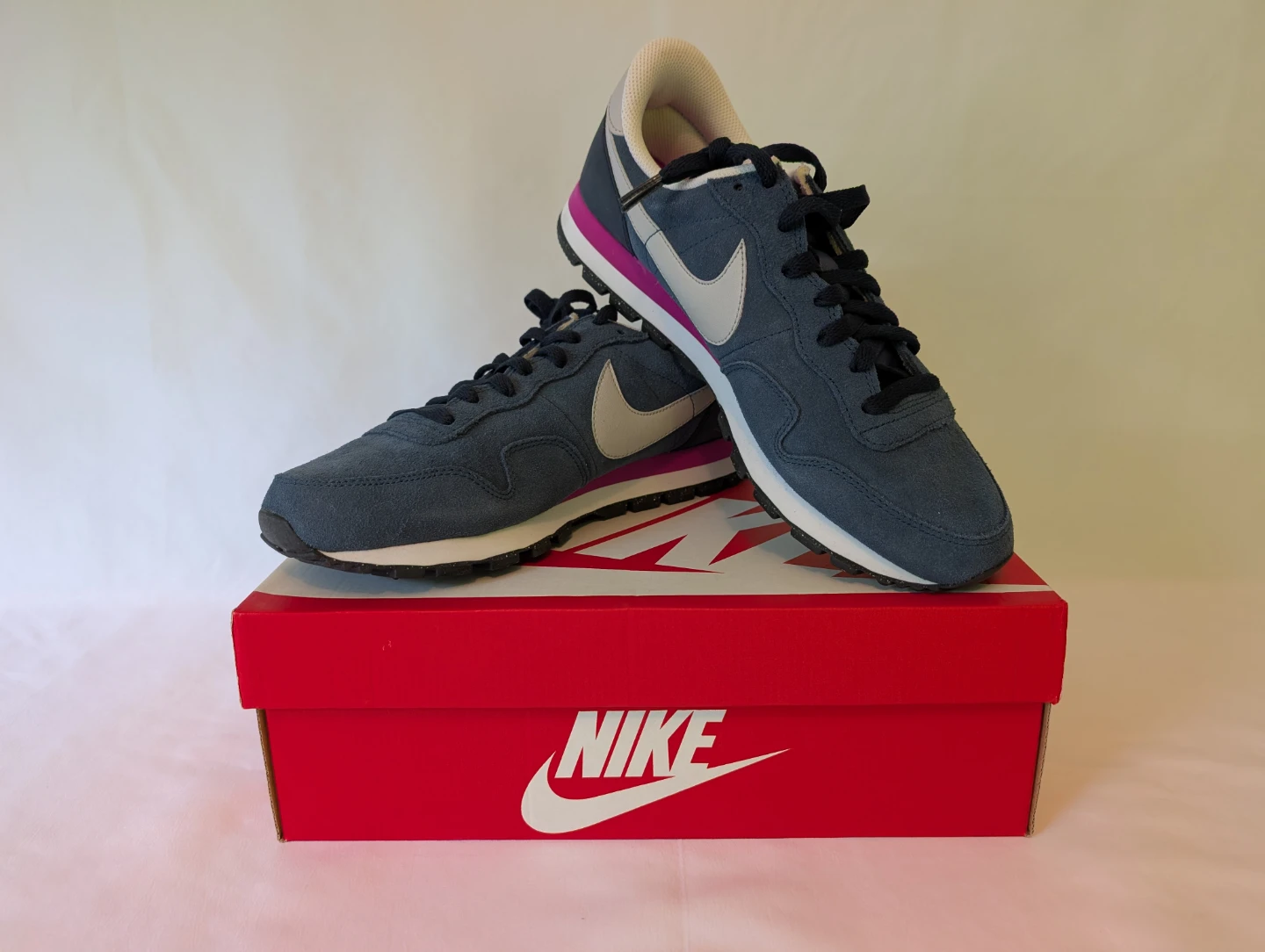 Nike Air Pegasus 83 LTR Shoes