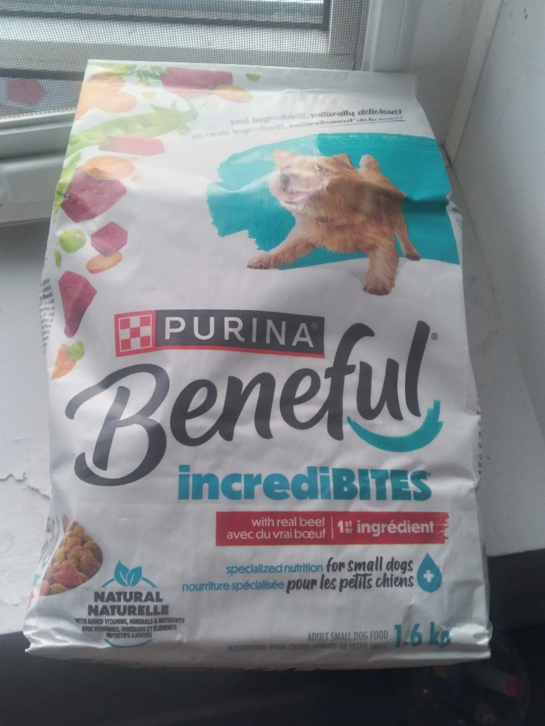 Dog food