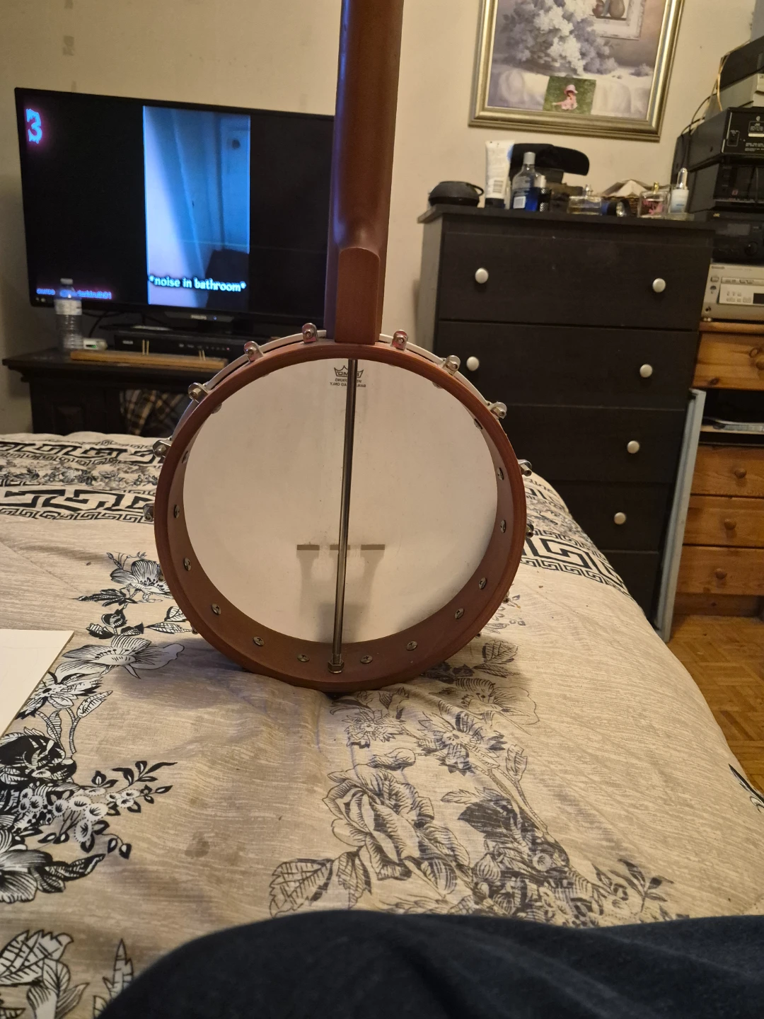 Open back  banjo - photo 3