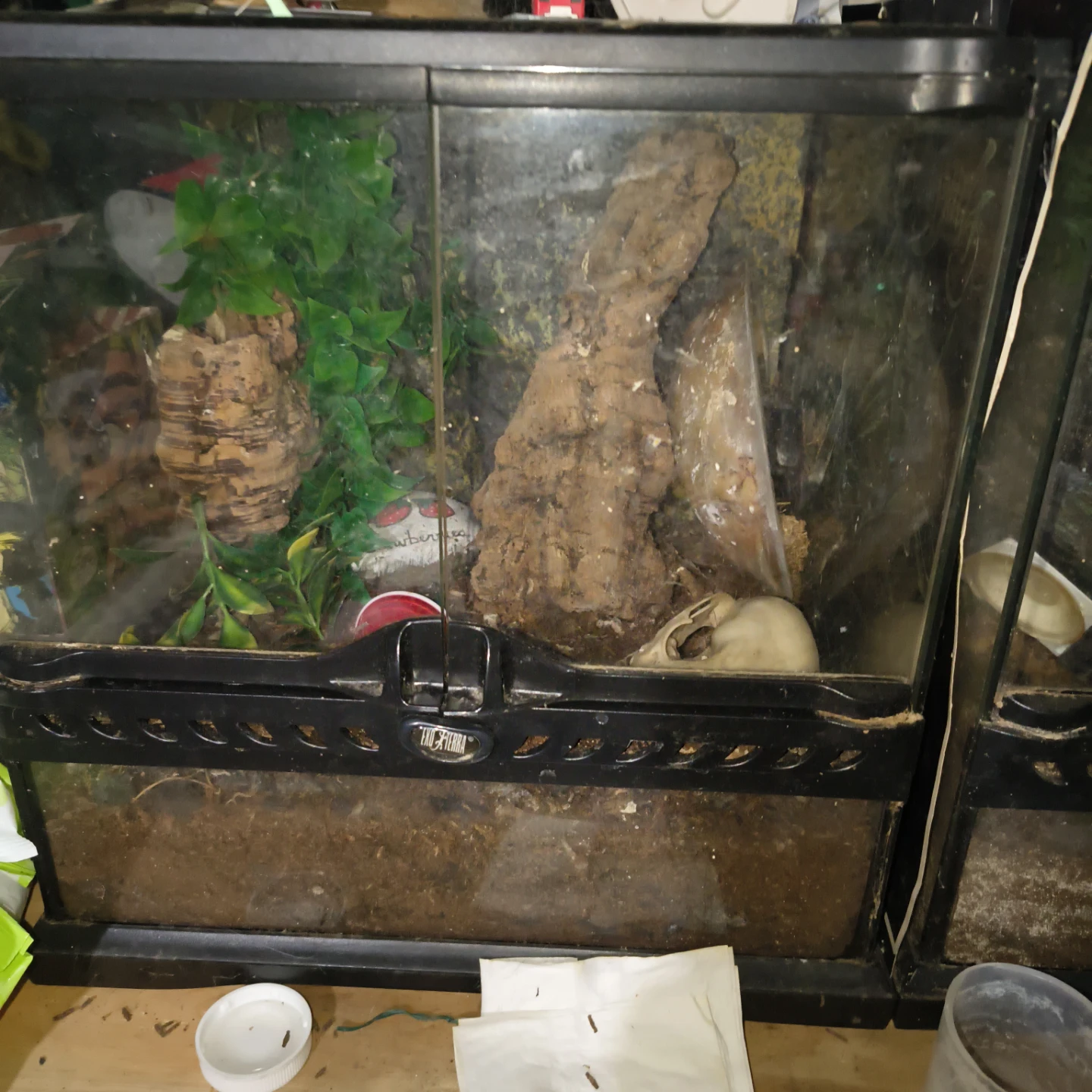 Exo Terra Glass Terrariums with Decor and 30gal tank - photo 2