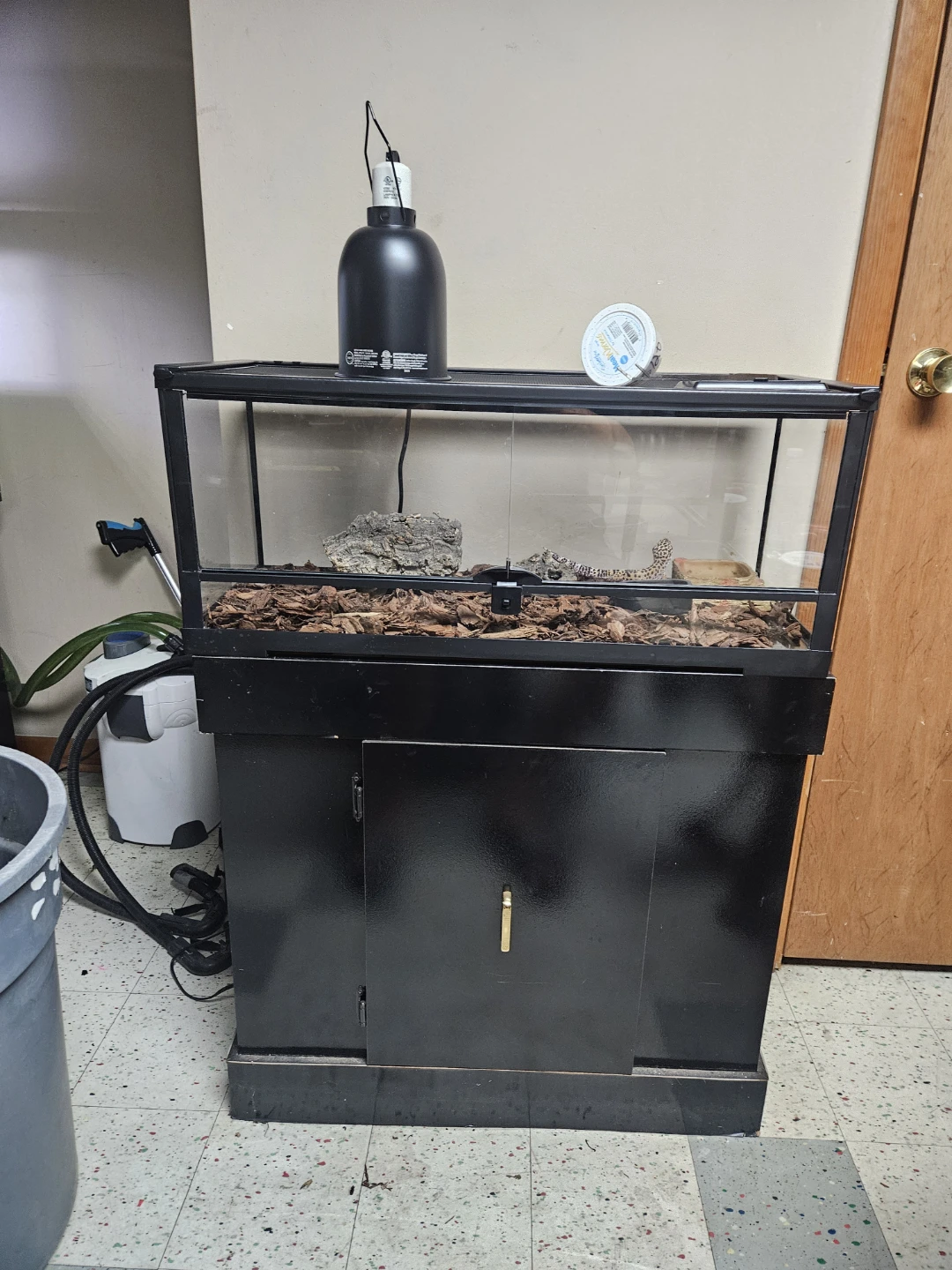 Glass Reptile Terrarium with Cabinet Stand