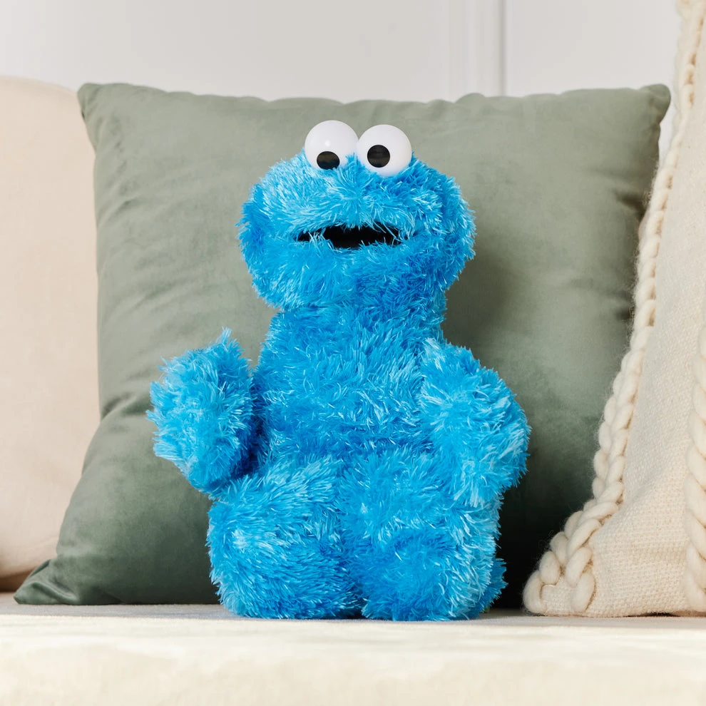 Sesame Street Cookie Monster Plush Toy