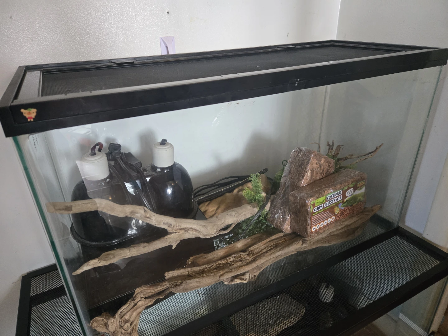 Reptile Glass Terrarium with Accessories