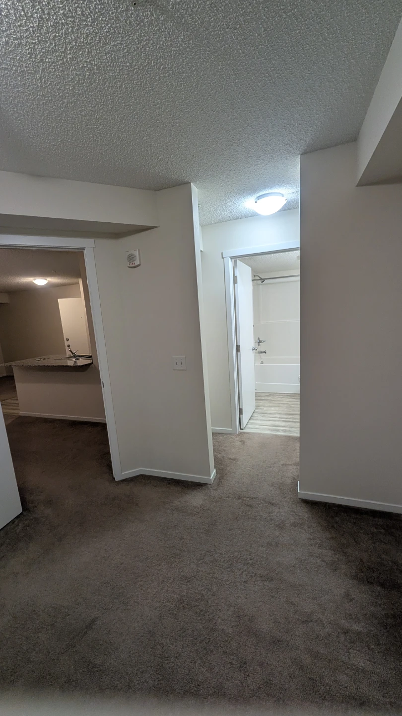 Rent 2bhk+ Den - photo 4
