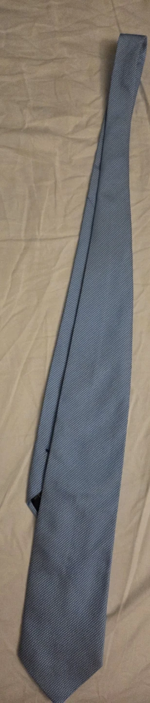 Ermenegildo Zegna light blue textured tie