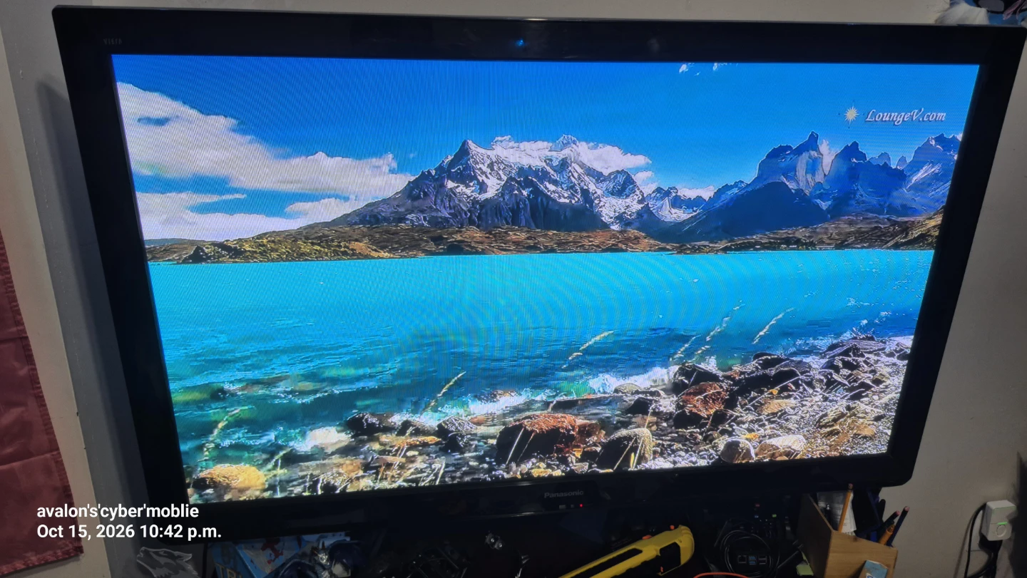 Panasonic Television - photo 4