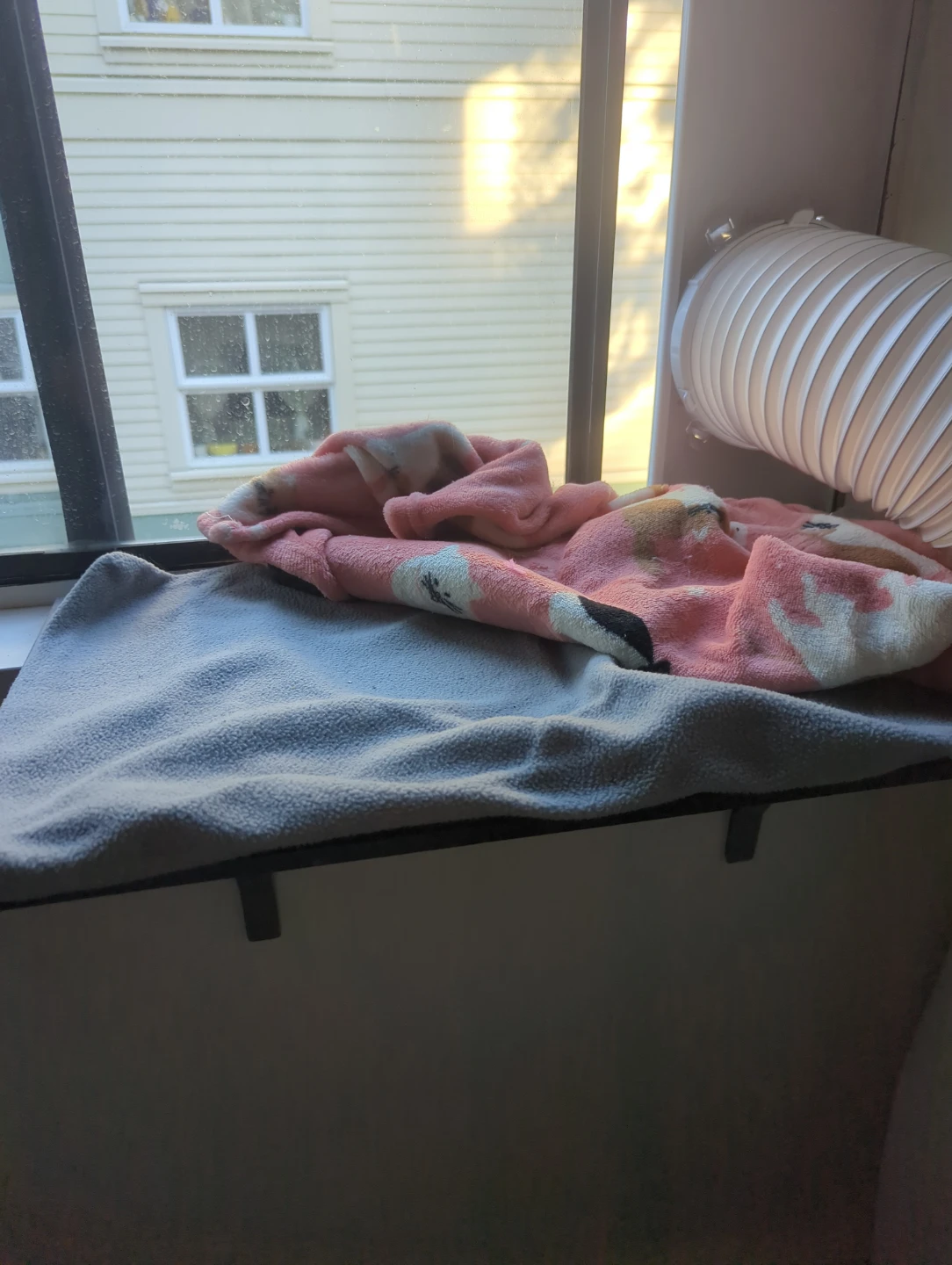 Window Cat Perch - photo 2