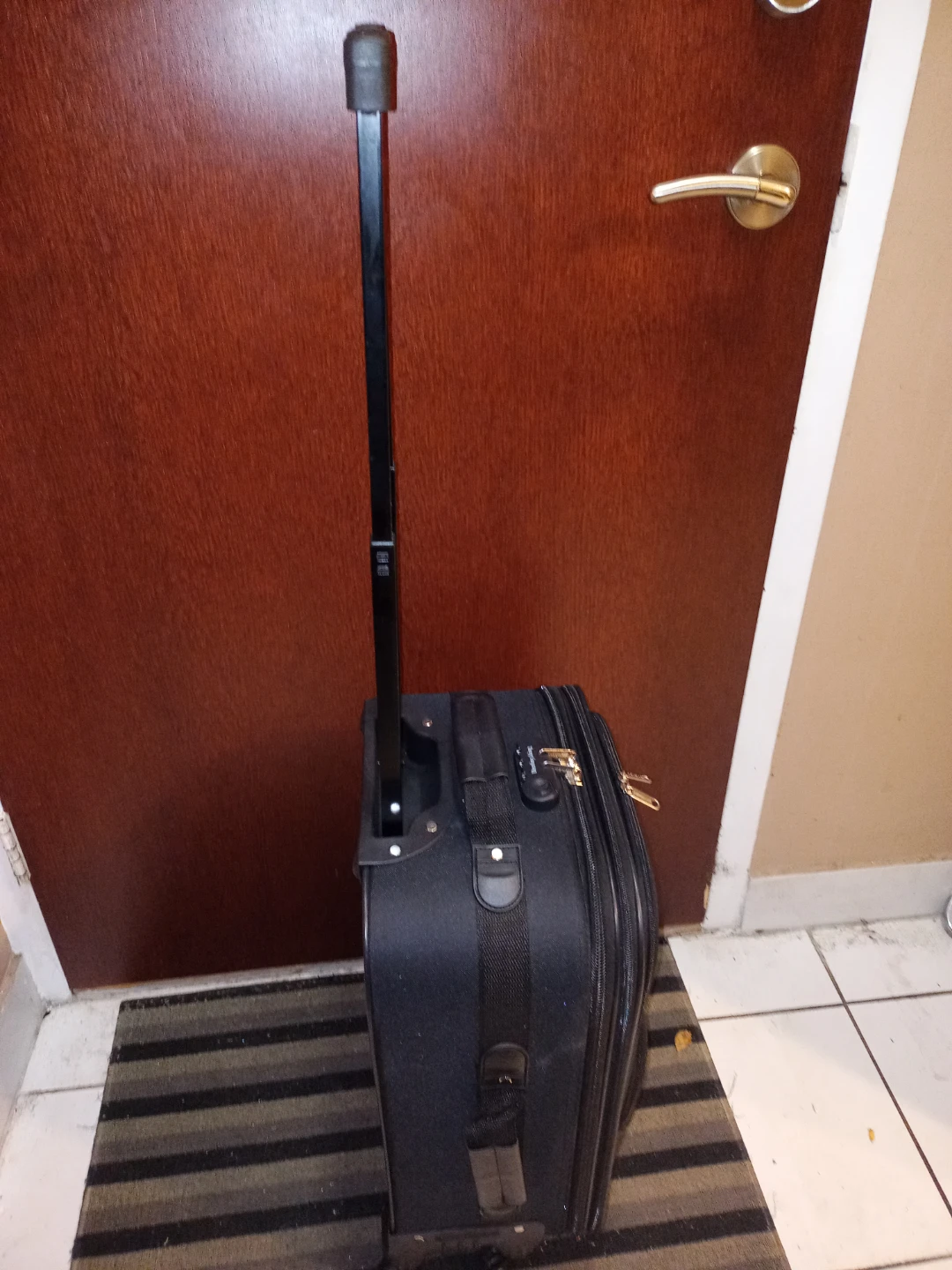 Destiny King Luggage With Swivel Wheels - photo 5