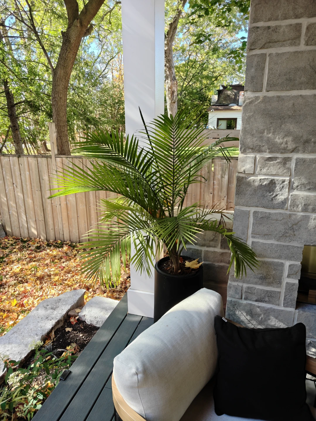 Tropical plants