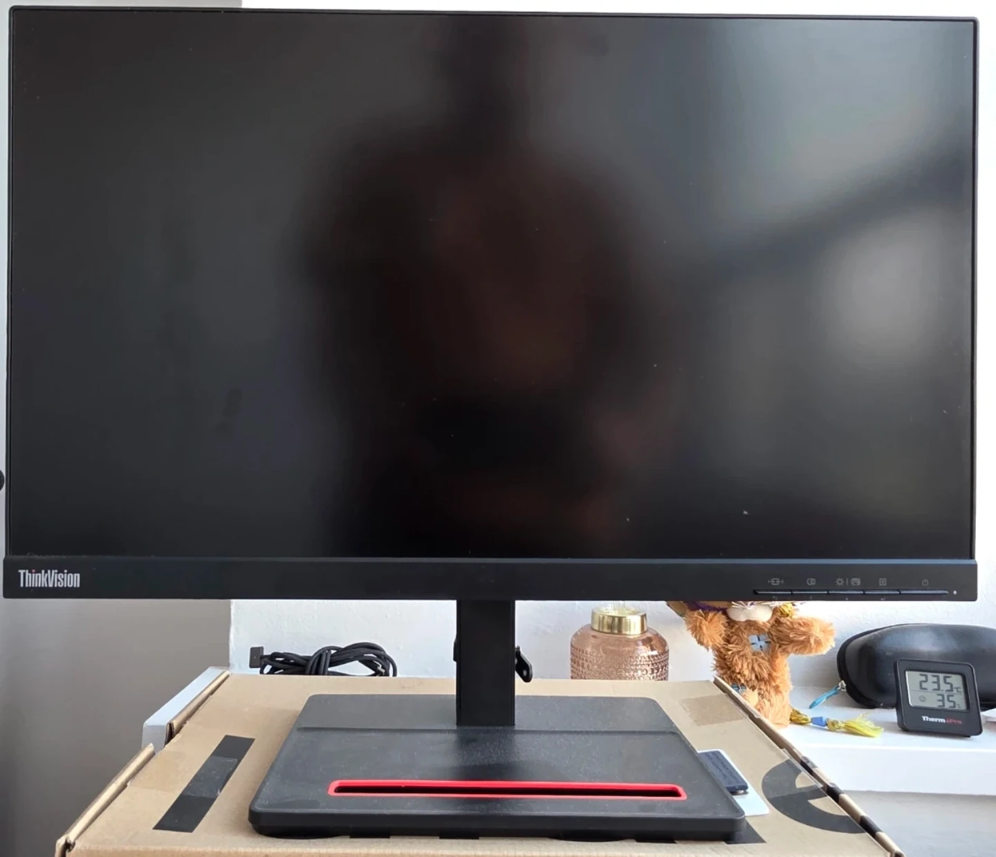 Lenovo ThinkVision 21" Monitor