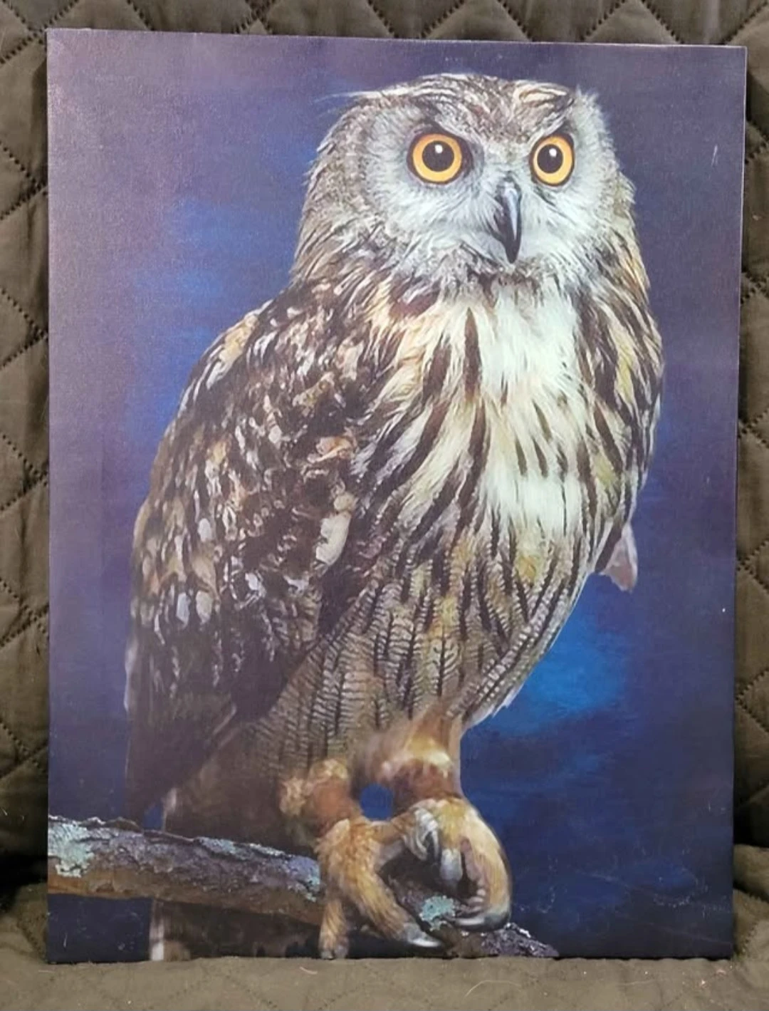 2 Owl Canvas Pictures ($10 for both)
