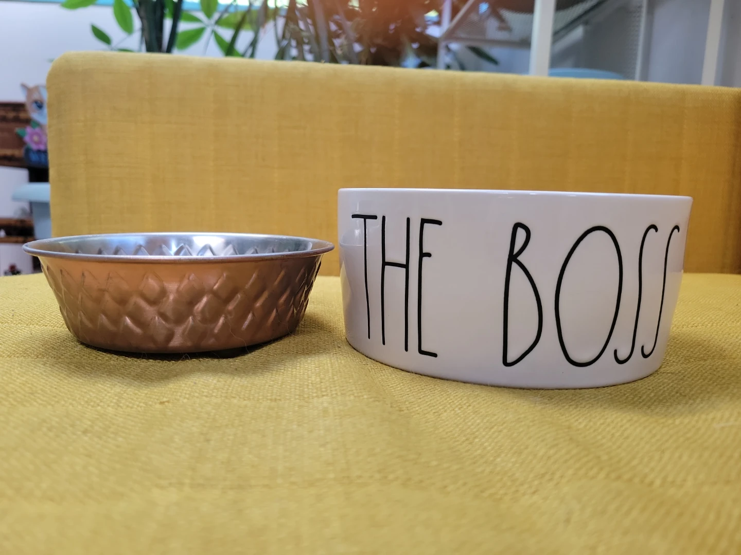 Rae dunn "the boss" pet bowl