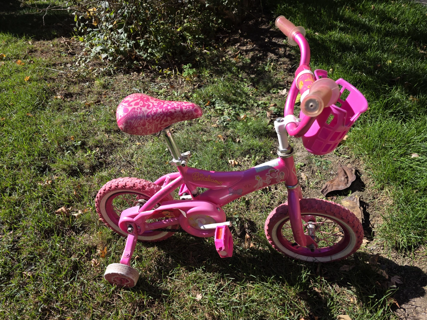 Girls Pinkalicious Bicycle -- 12", Training Wheels & Basket - photo 2
