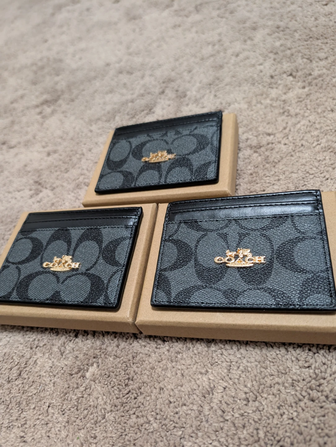 Coach Cardholders