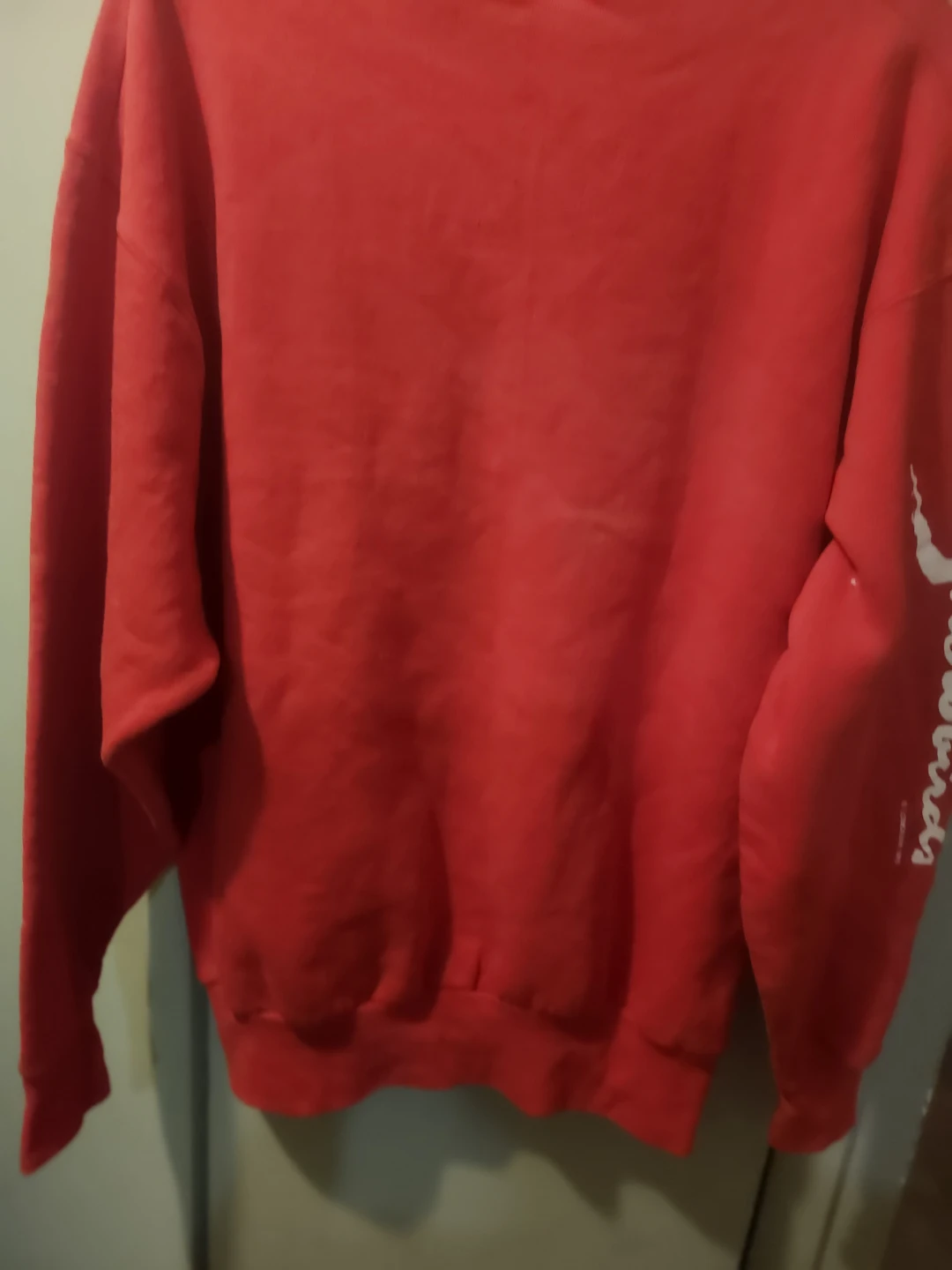 Vintage Red Snowbirds Sweatshirt - photo 4
