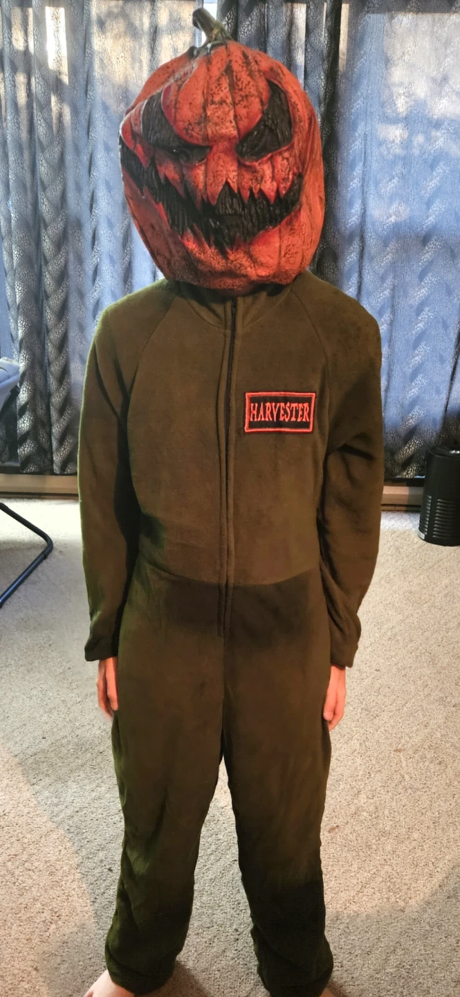 Selection of Kids Halloween Costumes - photo 4