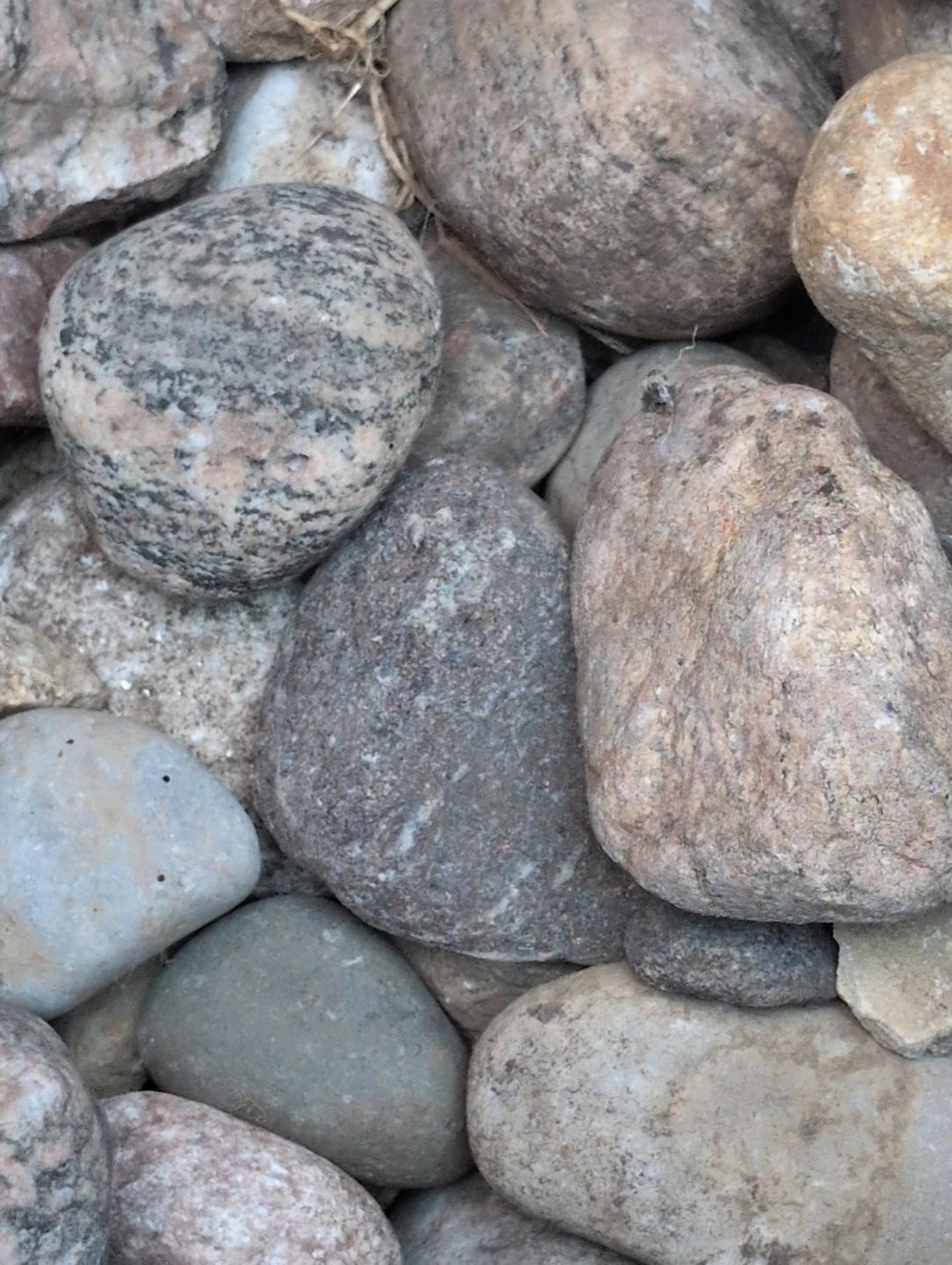 Assorted Garden Decorative Stones - photo 2