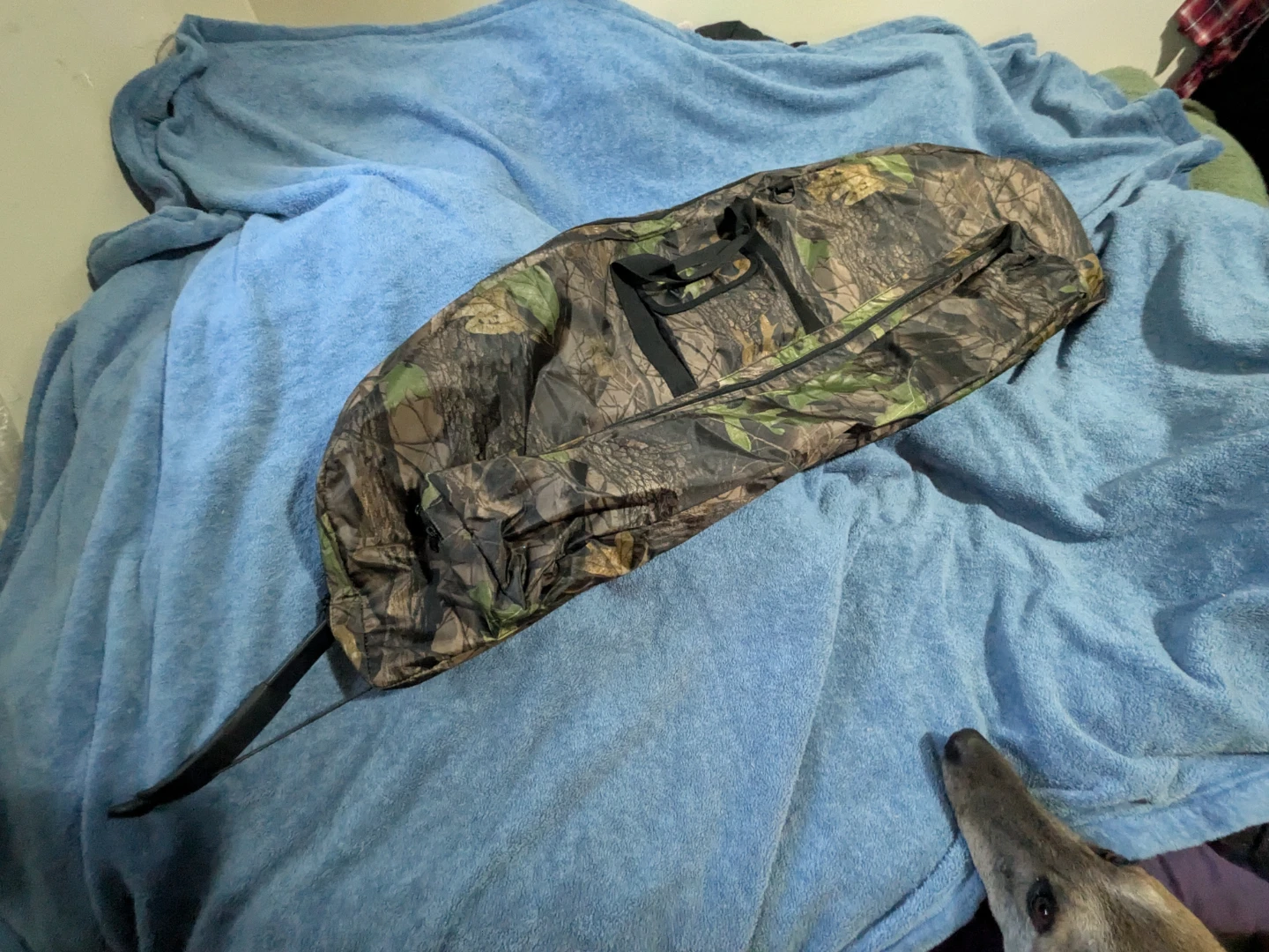 Archery Recurve Bow Set with Arrows and Case