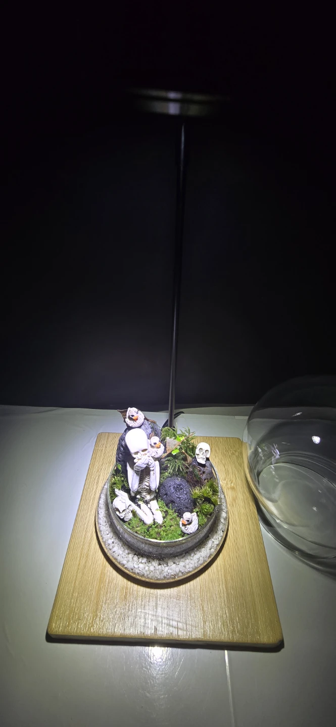 Skeleton terrarium decor - Halloween 🎃 gifts - photo 5